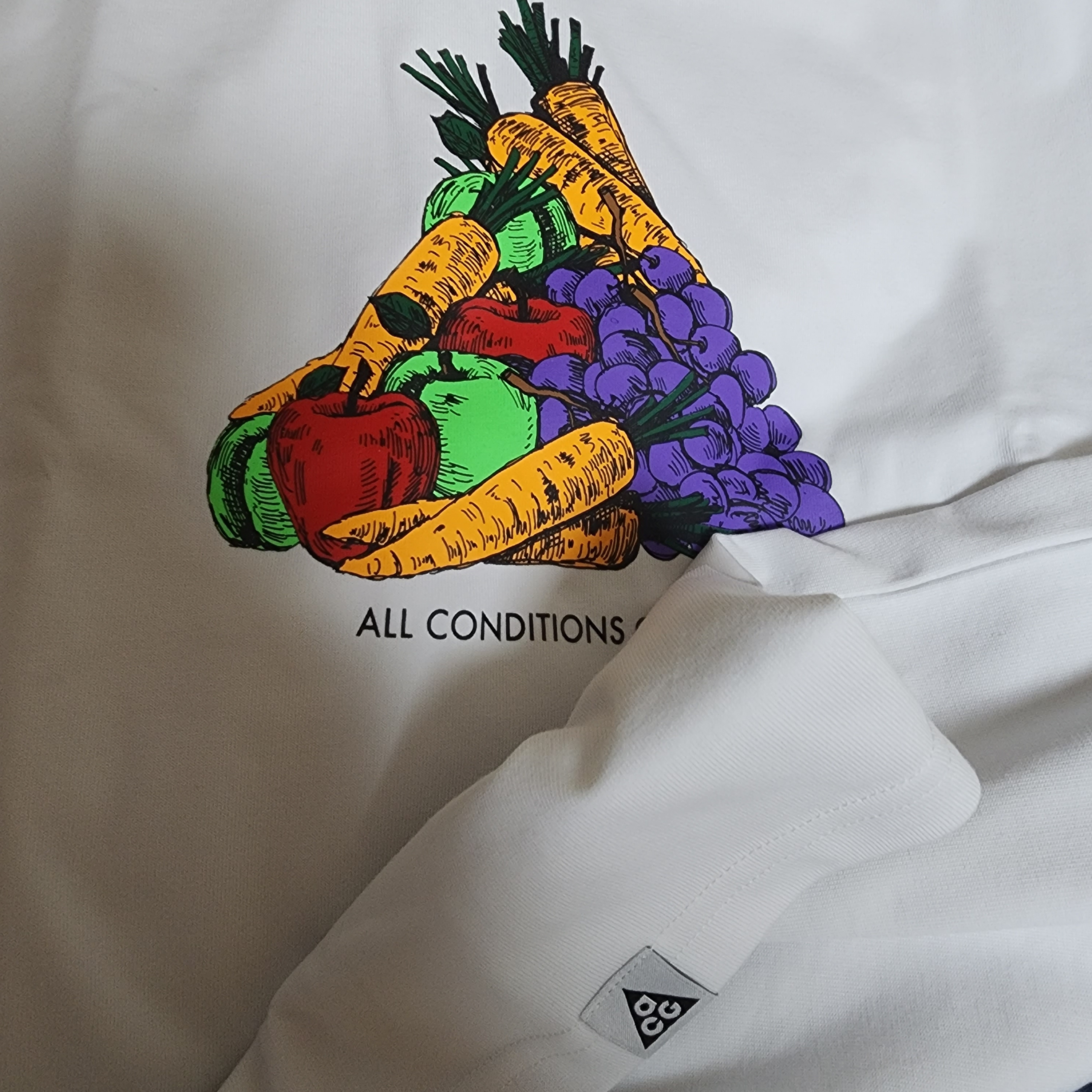 Nike ACG Fruit and Veggies T-Shirt - Asia 착용 스타일 - 2