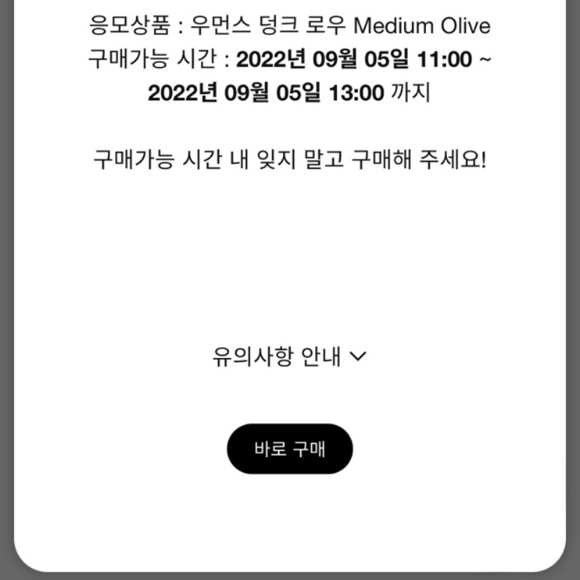 (W) Nike Dunk Low Medium Olive 착용 스타일 - 3