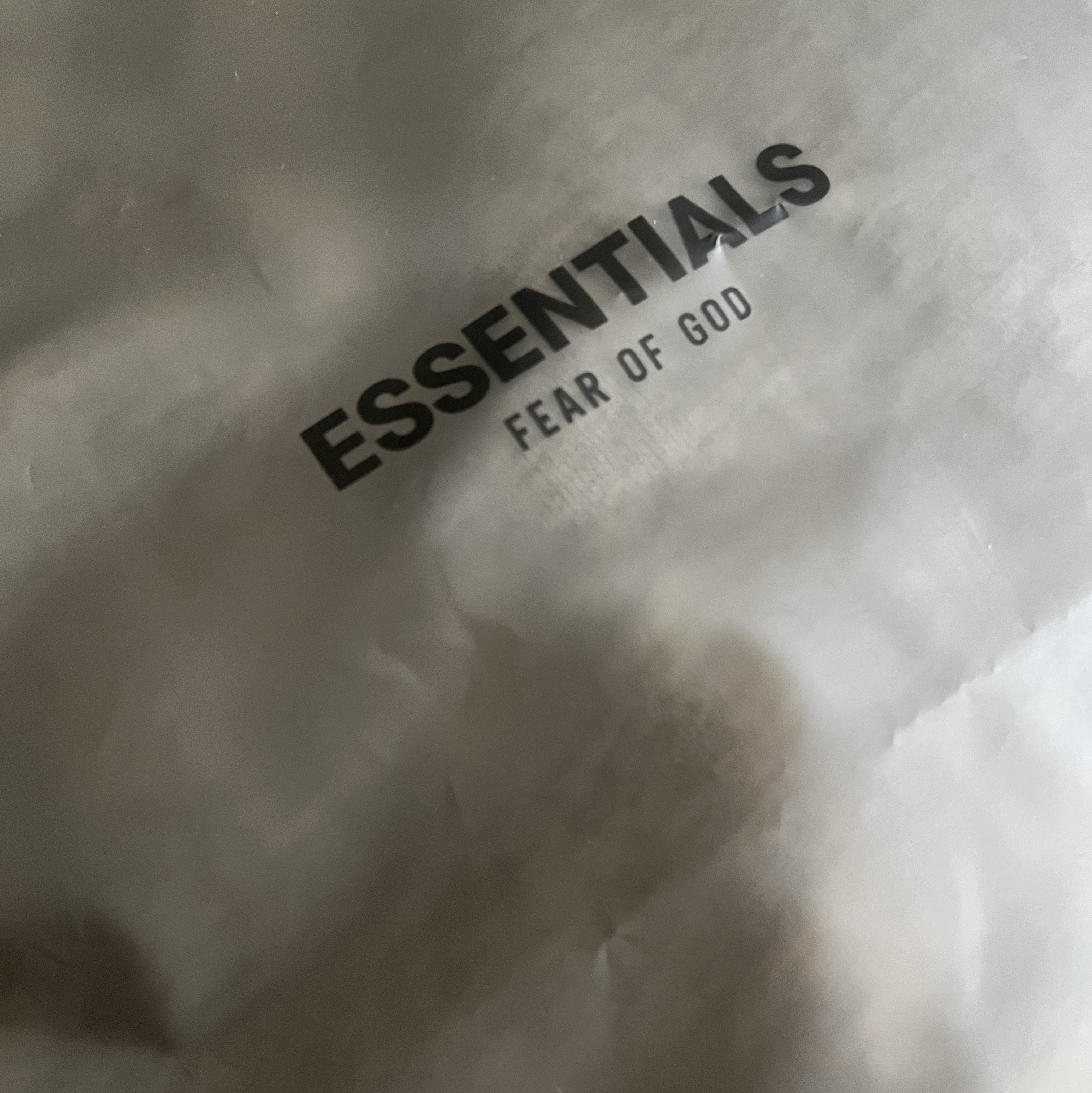 Essentials The Core Collection Hoodie Light Oatmeal 착용 스타일