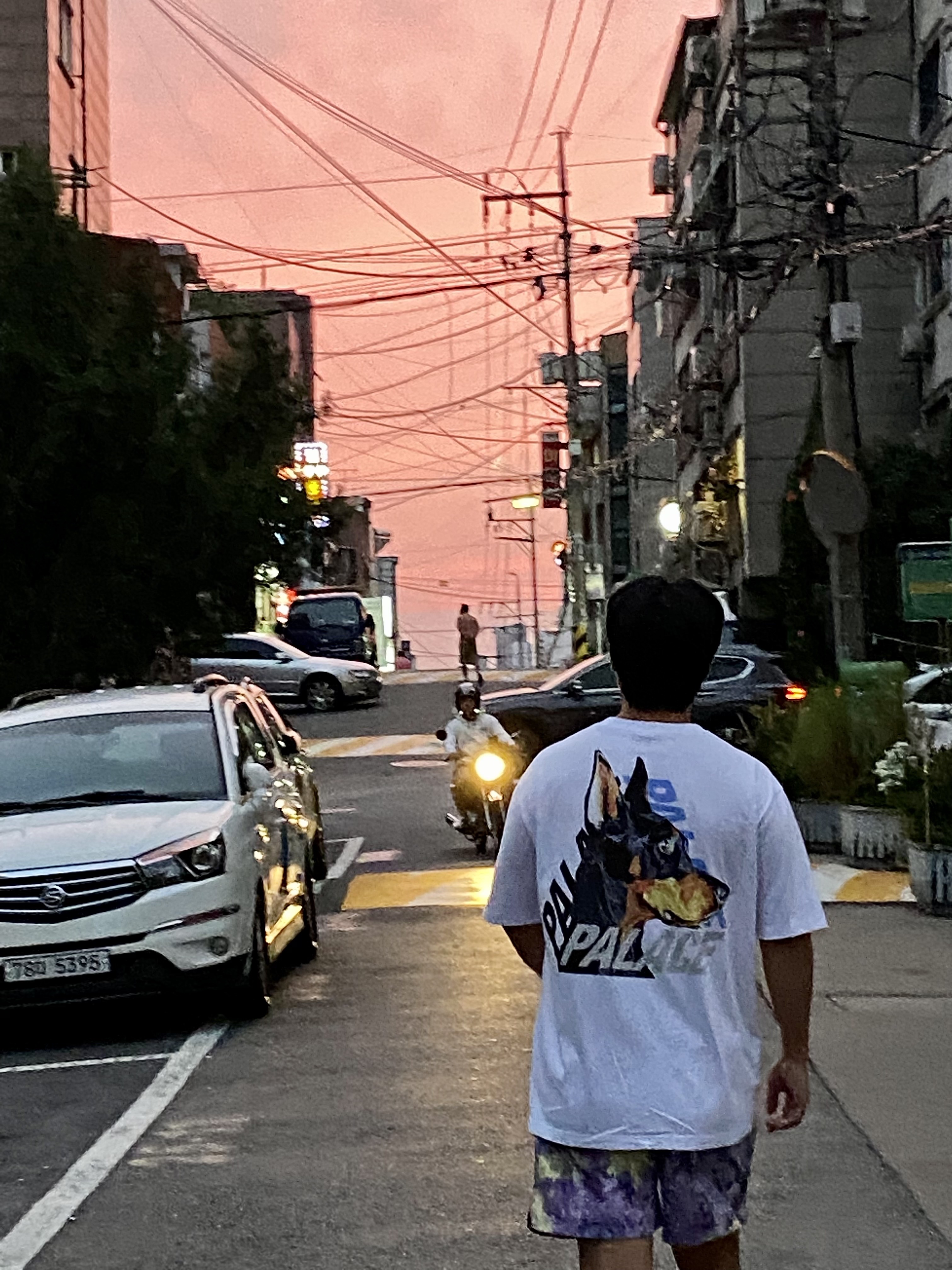 Palace P-3-K-9 T-Shirt White - 22SS, Nike x Stussy Benassi Hemp Slide Fossil Stone 착용 스타일 - 1