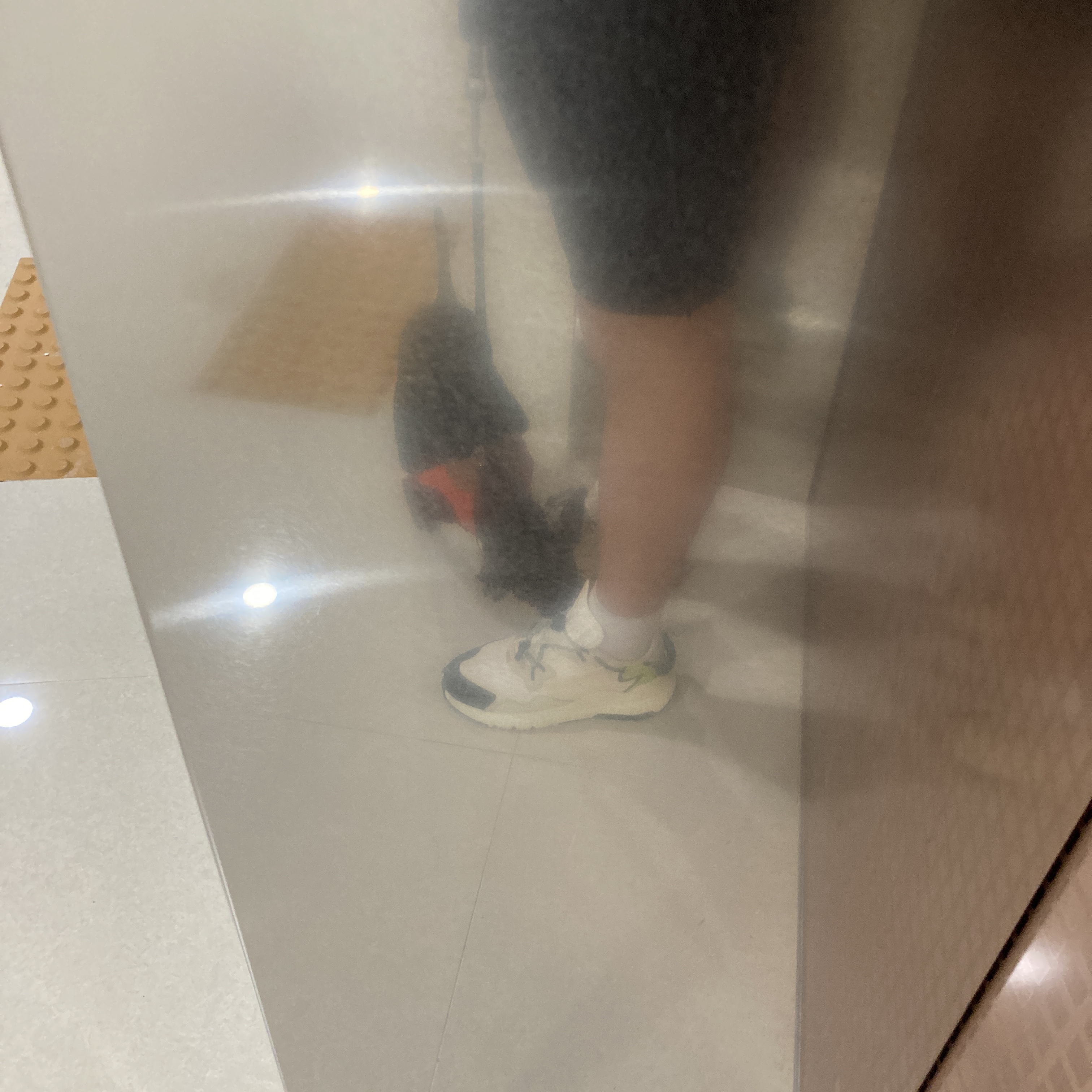 Adidas Yeezy Boost 700 Wave Runner Solid Grey 2021/2022, Adidas x Beyonce Ivy Park Nite Jogger Off White 착용 스타일 - 4