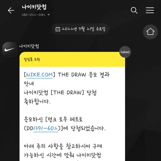 스타일 카드