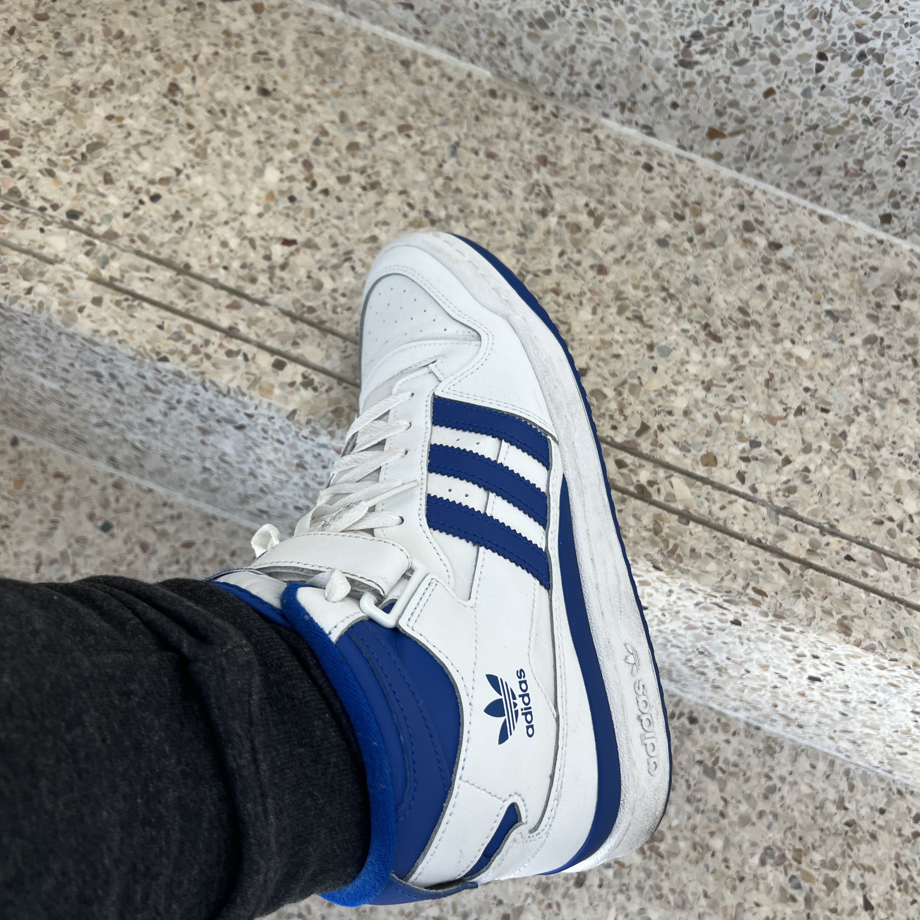 Adidas Forum Mid White Royal Blue 착용 스타일