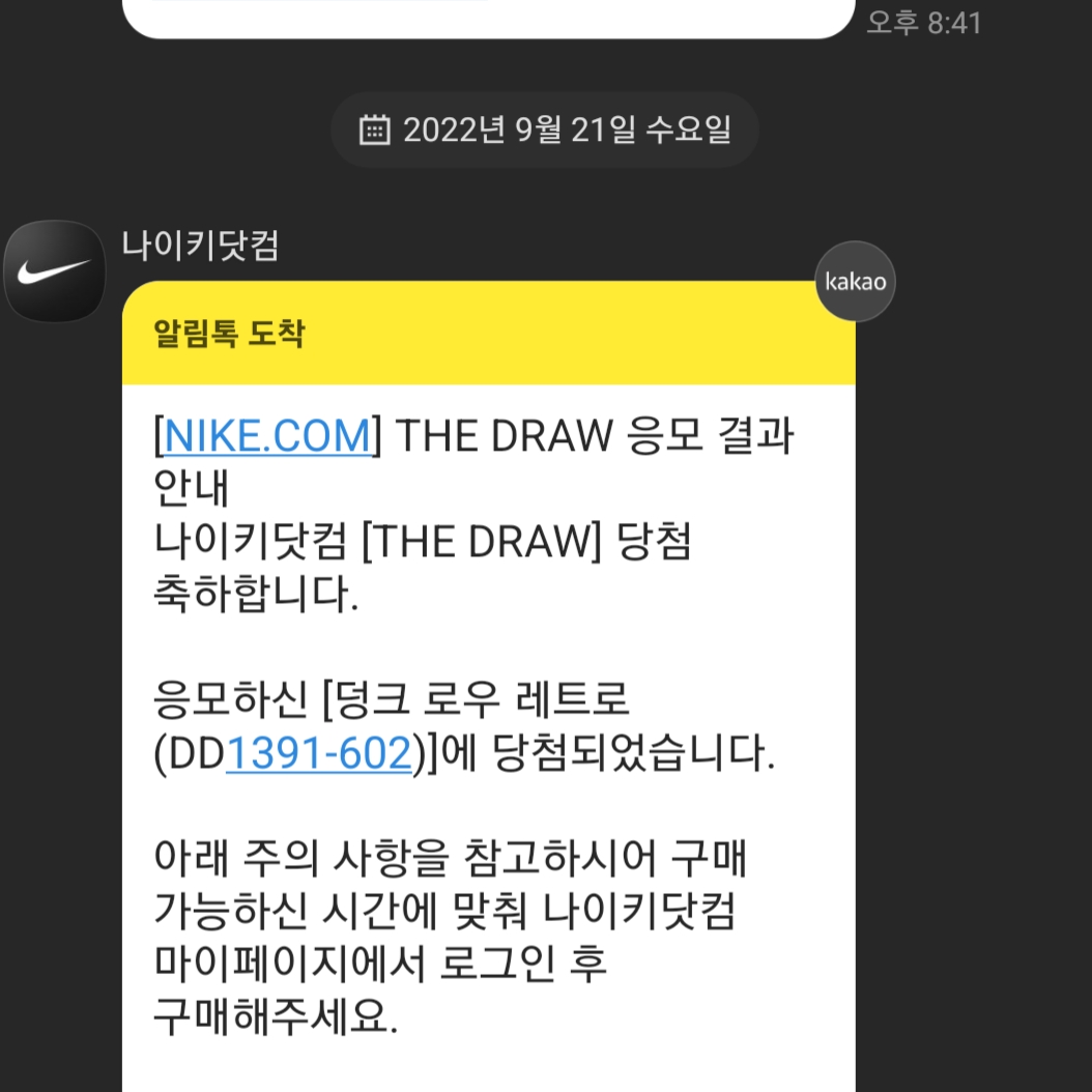 Nike Dunk Low Retro Gym Red 착용 스타일 - 2