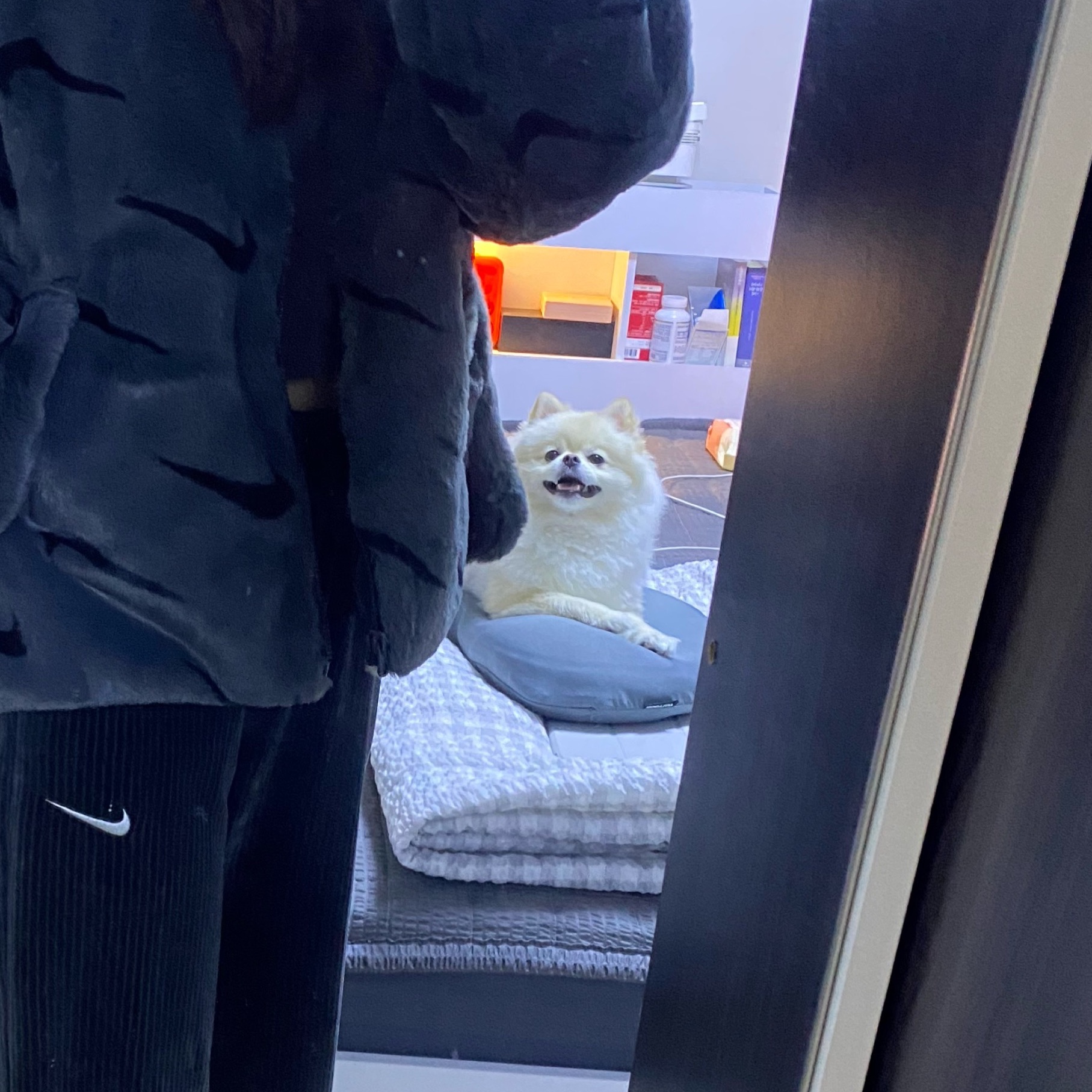 (W)Nike NSW Plush Printed Faux Fur Jacket Dark Smoke Grey - Asia, Nike x Tom Sachs General Purpose Shoe Archive 착용 스타일 - 2