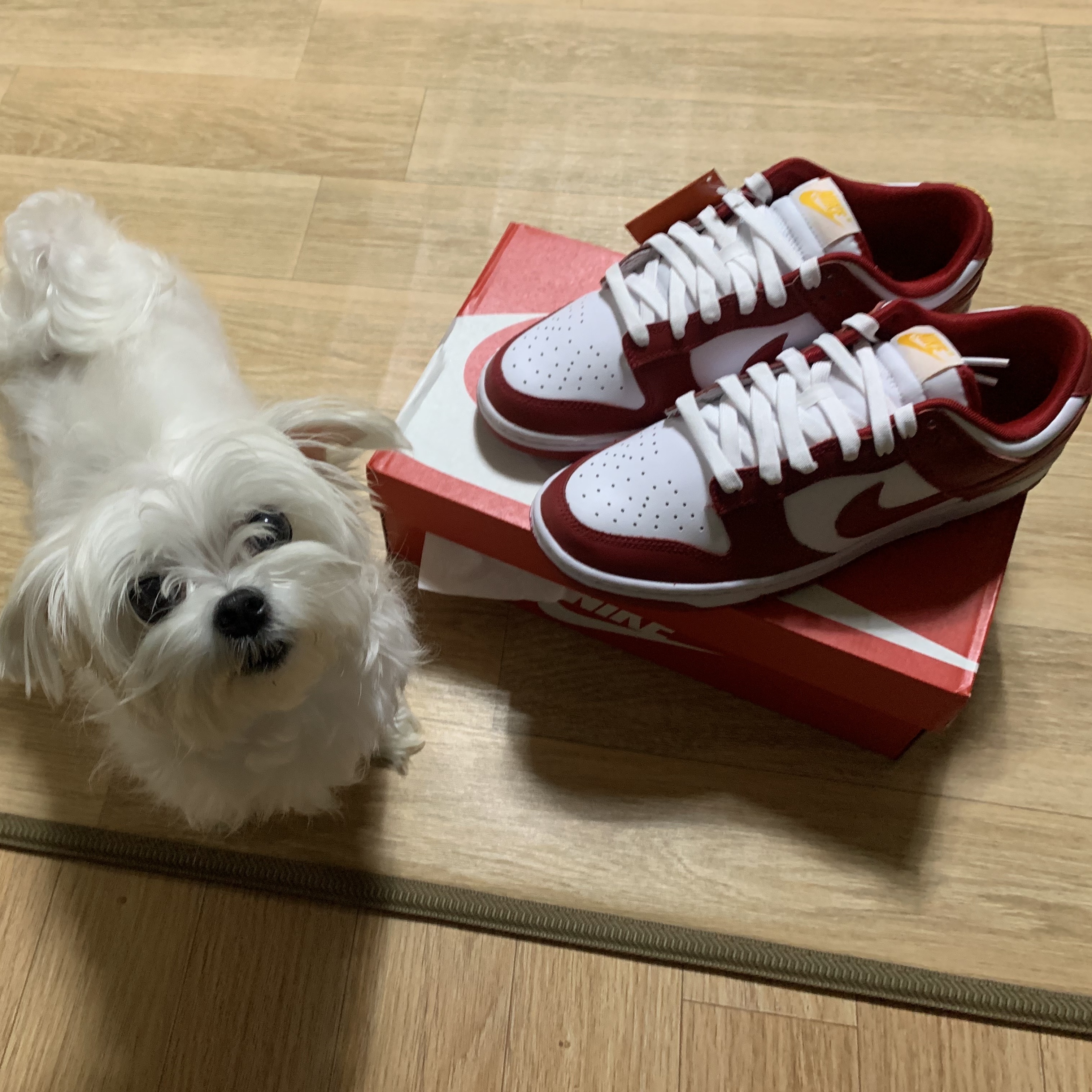 Nike Dunk Low Retro Gym Red 착용 스타일 - 1