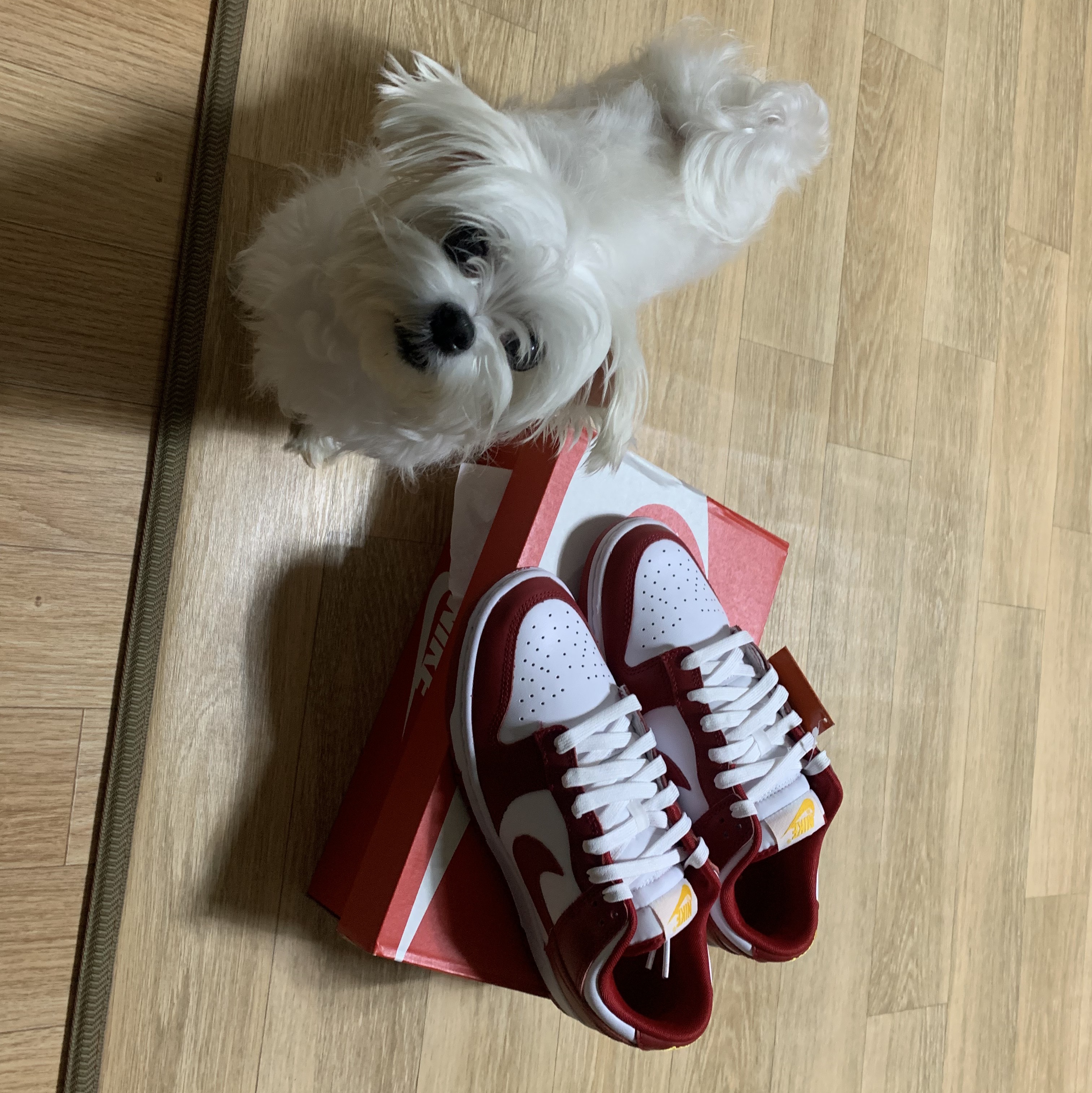 Nike Dunk Low Retro Gym Red 착용 스타일 - 2