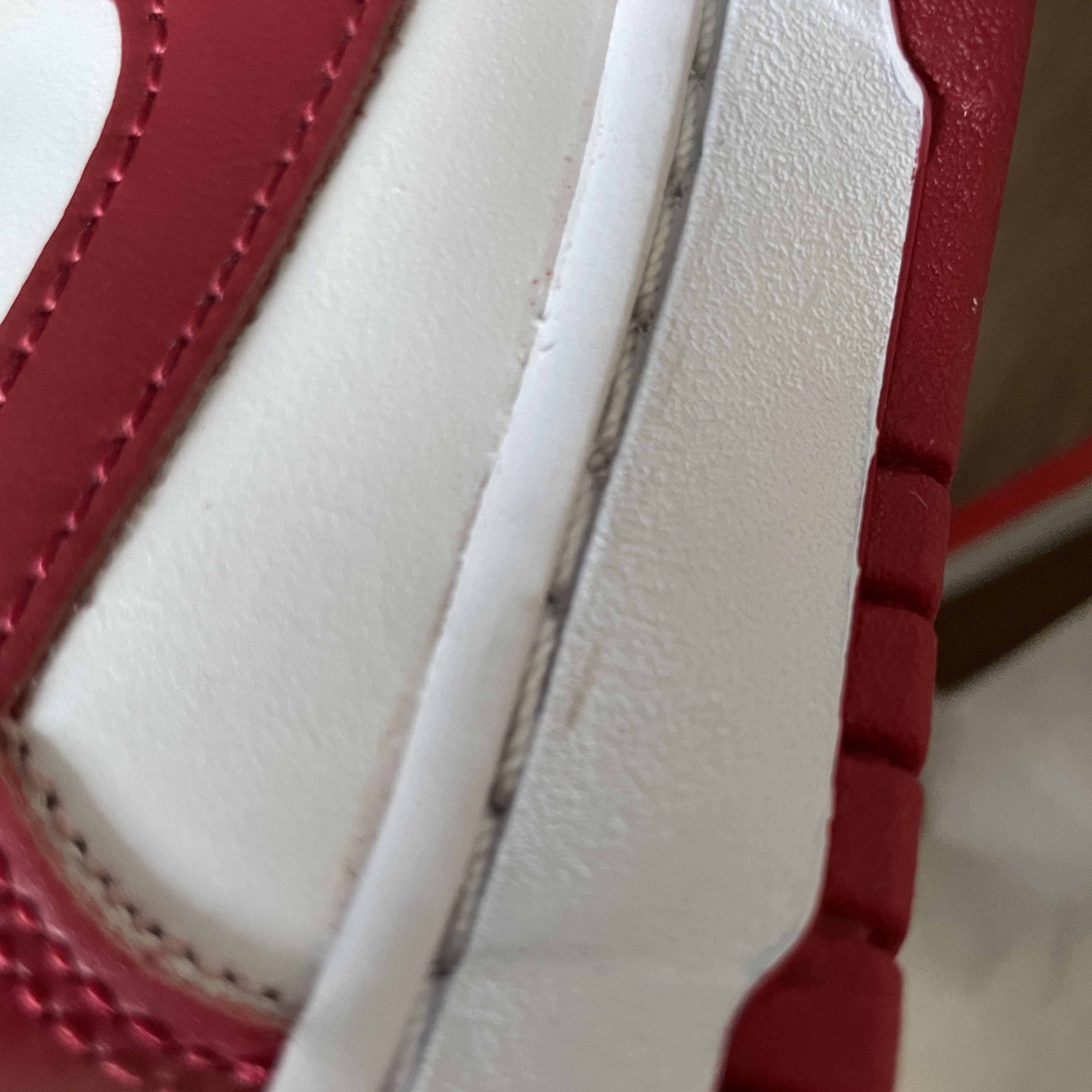 Nike Dunk Low Retro Gym Red 착용 스타일 - 3