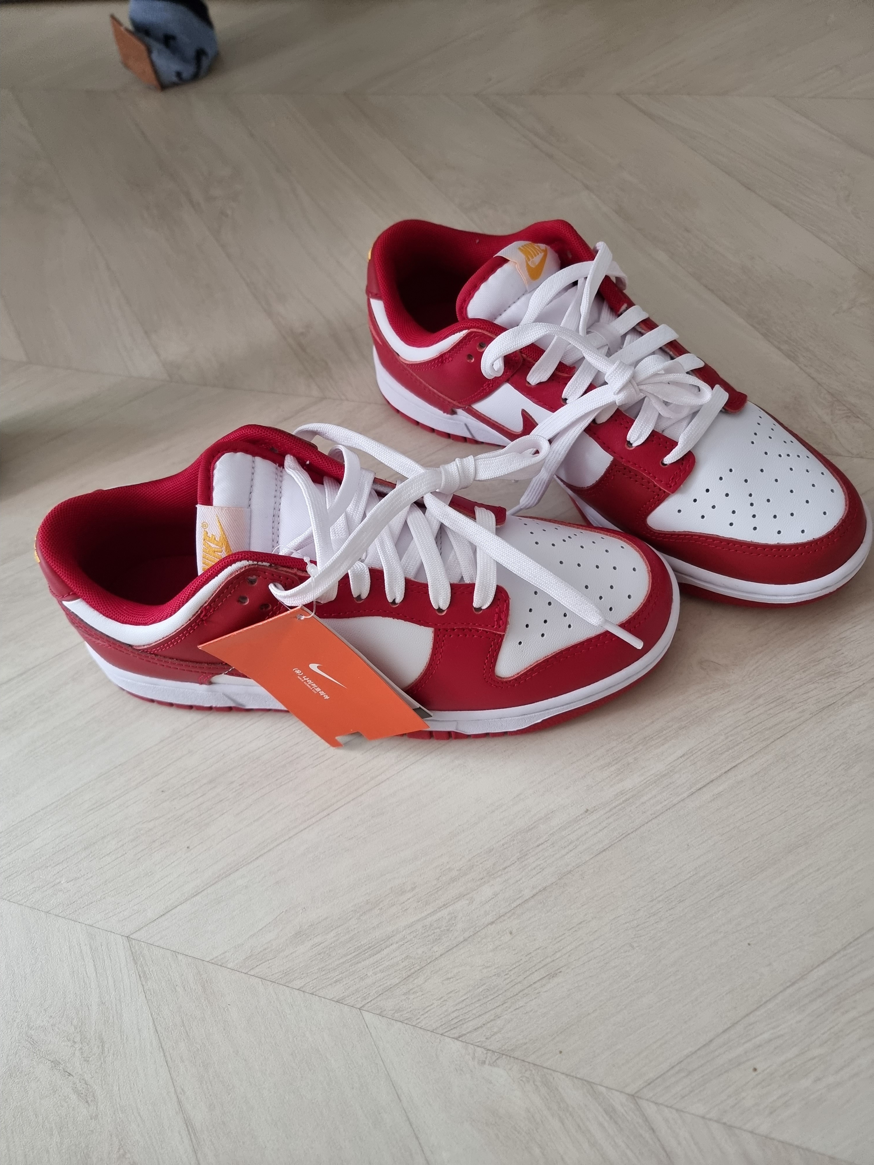 Nike Dunk Low Retro Gym Red 착용 스타일 - 1