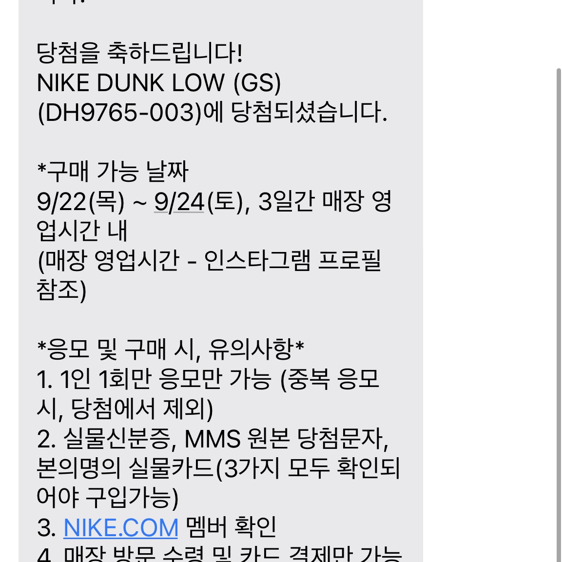 (GS) Nike Dunk Low Safety Orange 착용 스타일