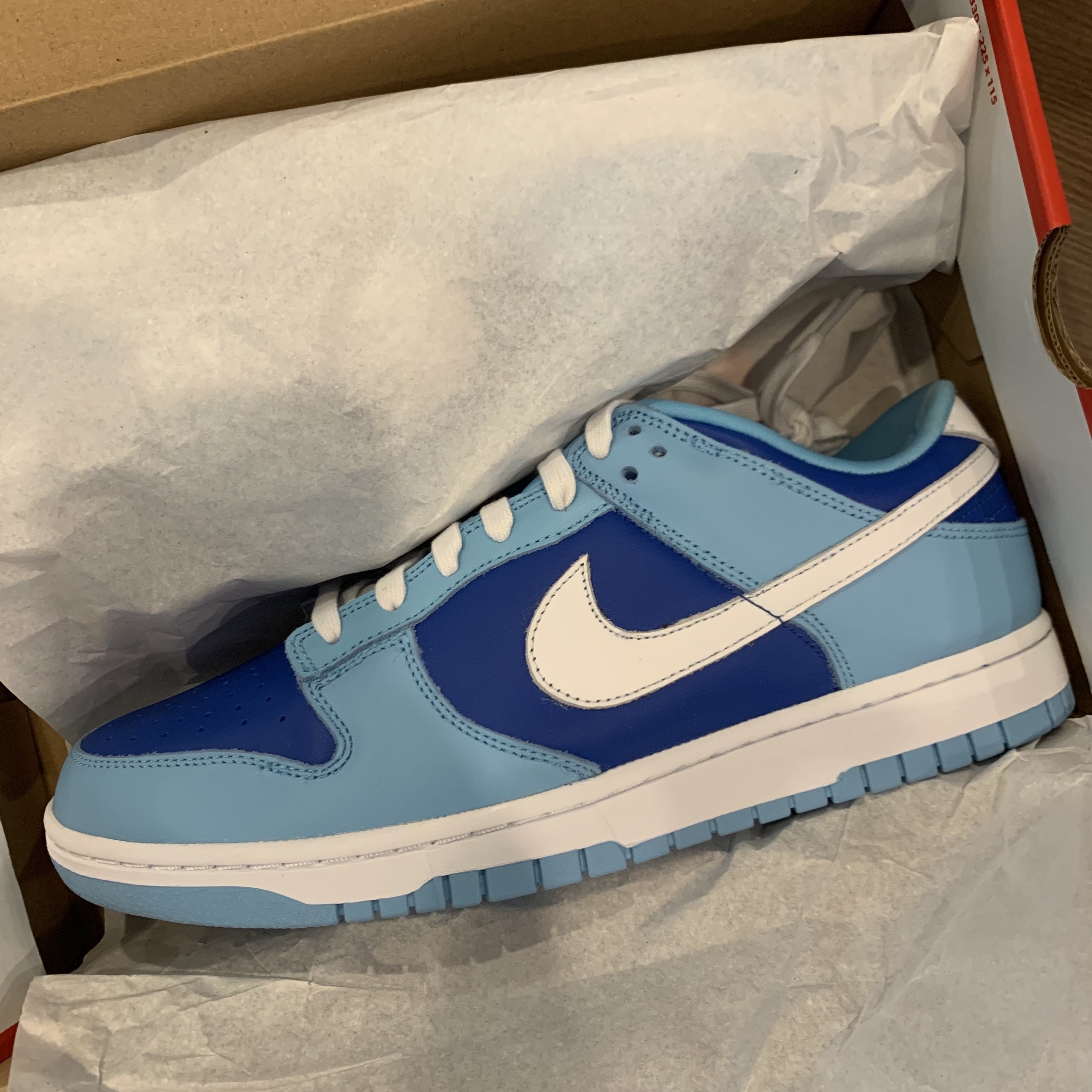 Nike Dunk Low Retro QS Argon 착용 스타일 - 1