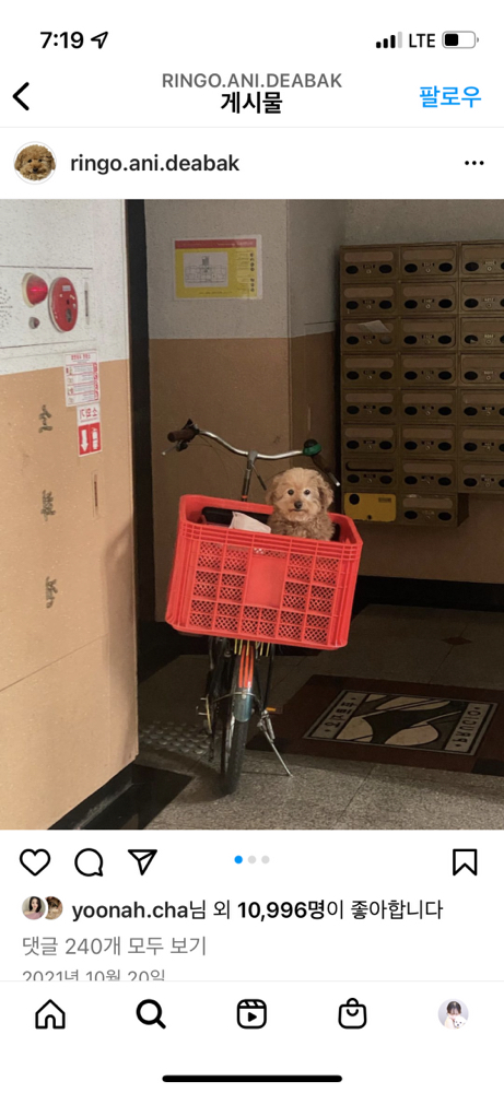 KREAM 프로필 이미지