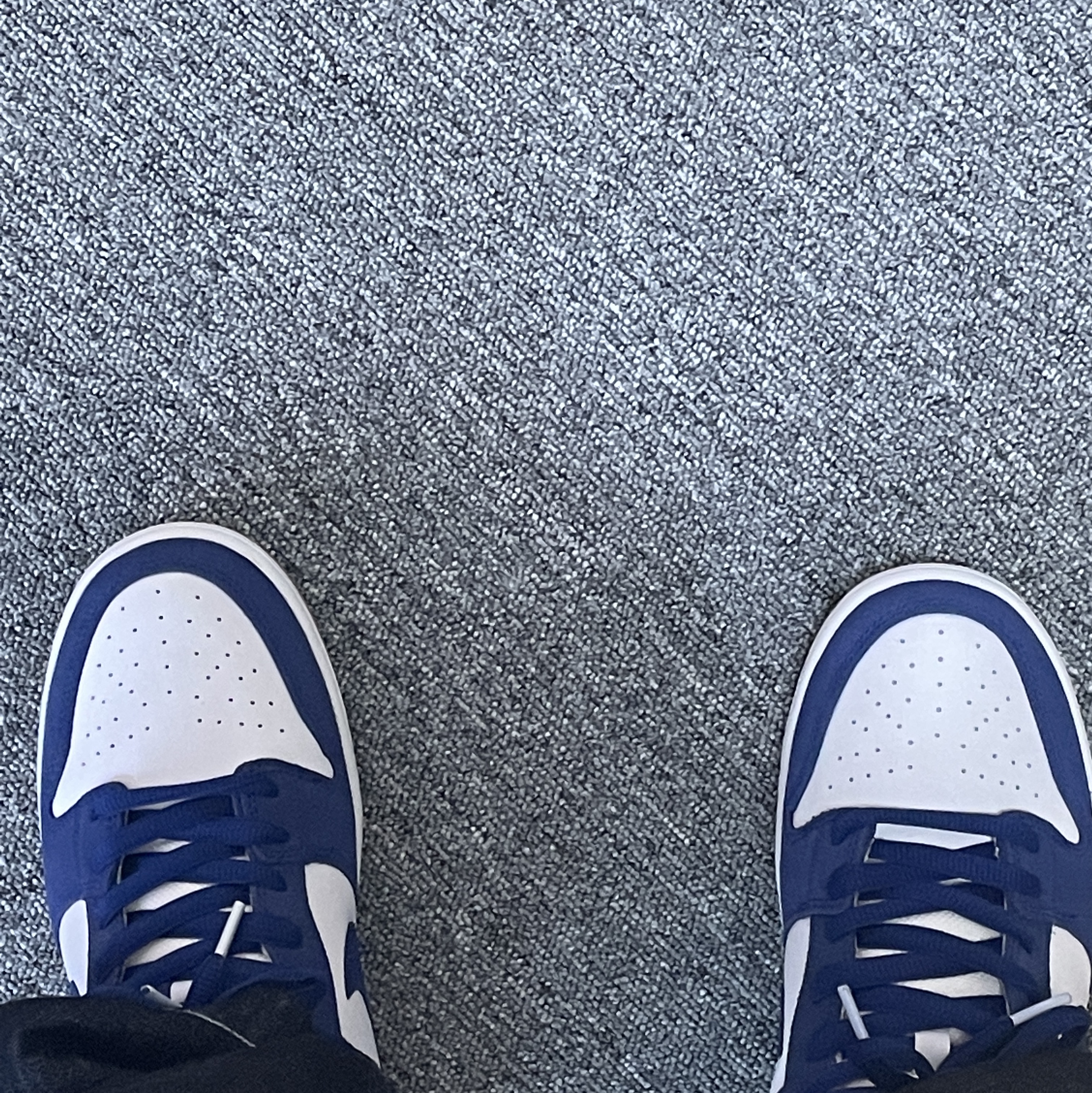 Nike SB Dunk Low Pro Premium Deep Royal Blue 착용 스타일 - 5