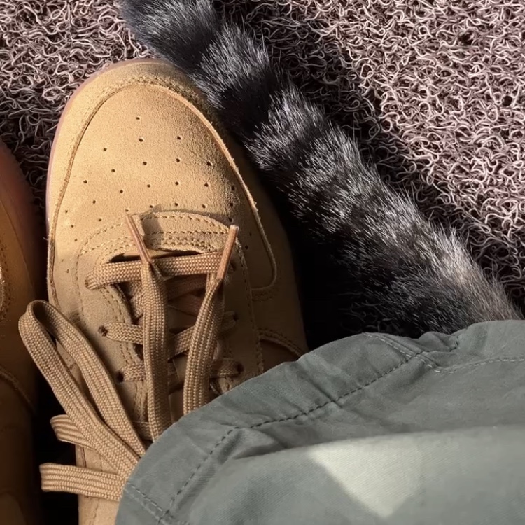 (GS) Nike Air Force 1 LV8 3 Wheat 착용 스타일