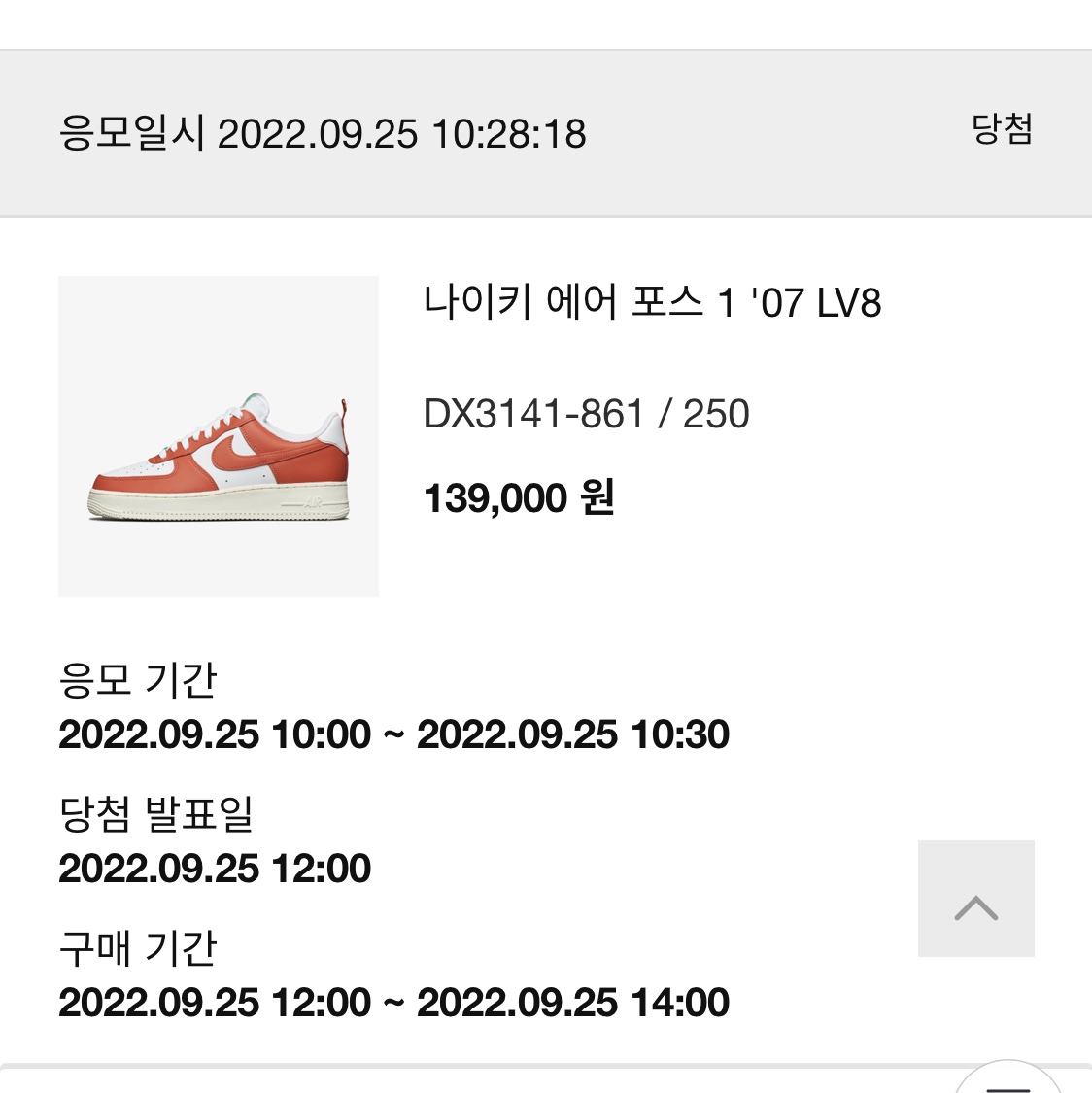 Nike Air Force 1 '07 LV8 Pojangmacha 착용 스타일