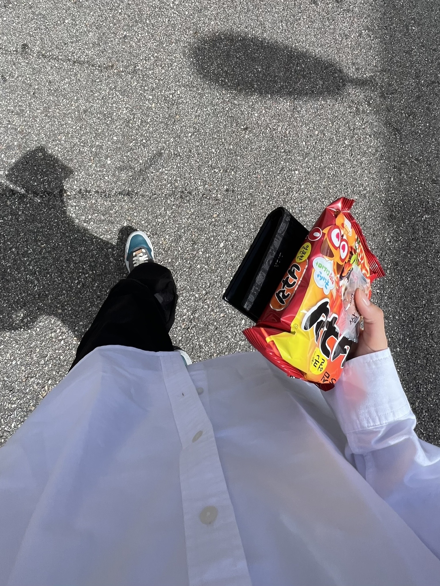 Nike x Kasina Air Max 1 SP Won-Ang Particle Grey, Dior Wallet Black Dior Oblique Jacquard 착용 스타일 - 1