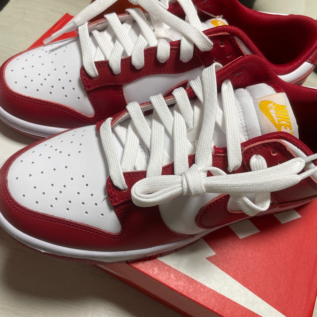 Nike Dunk Low Retro Gym Red 착용 스타일