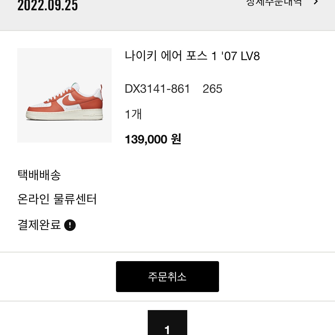 Nike Air Force 1 '07 LV8 Pojangmacha 착용 스타일