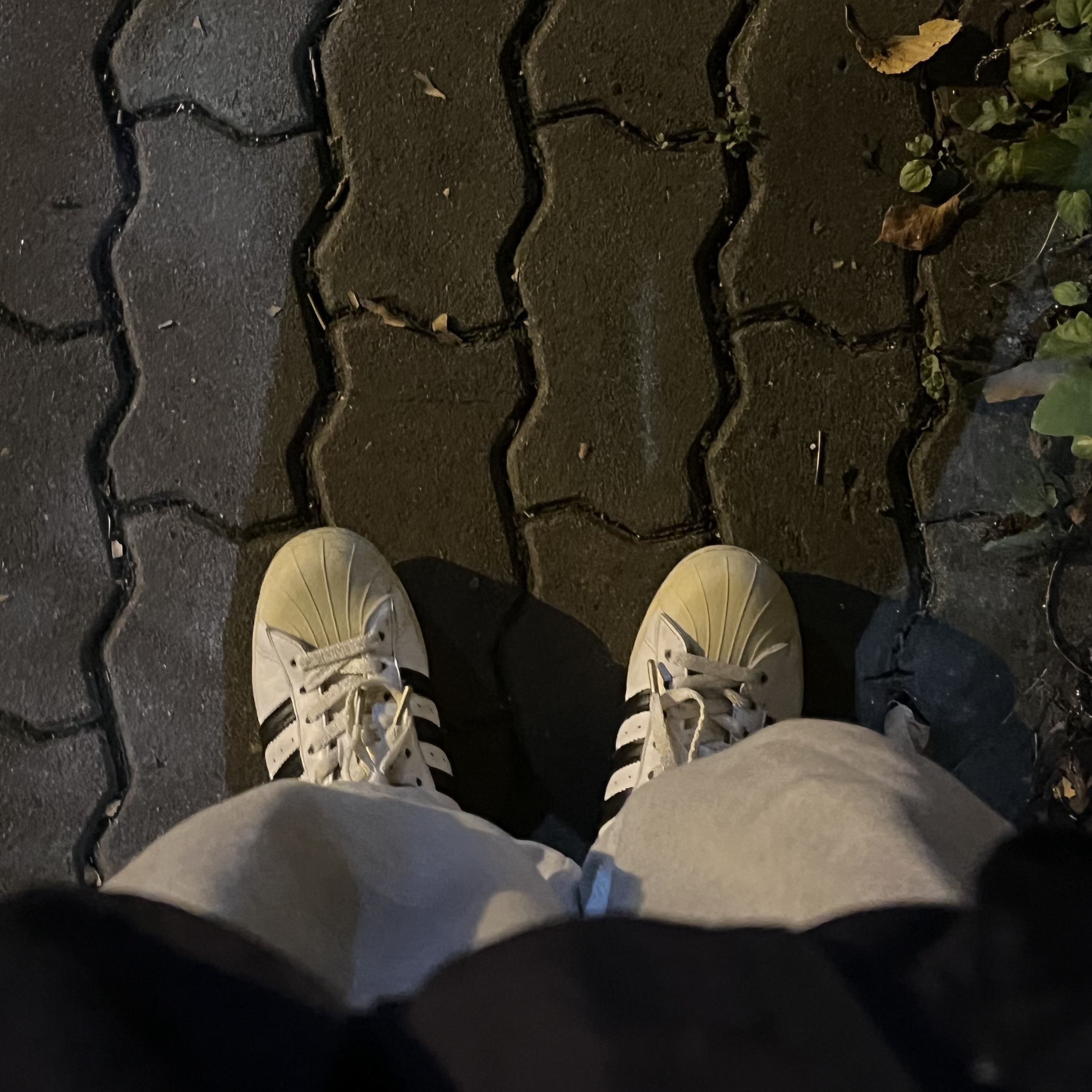 Adidas Superstar Premium White Black 착용 스타일