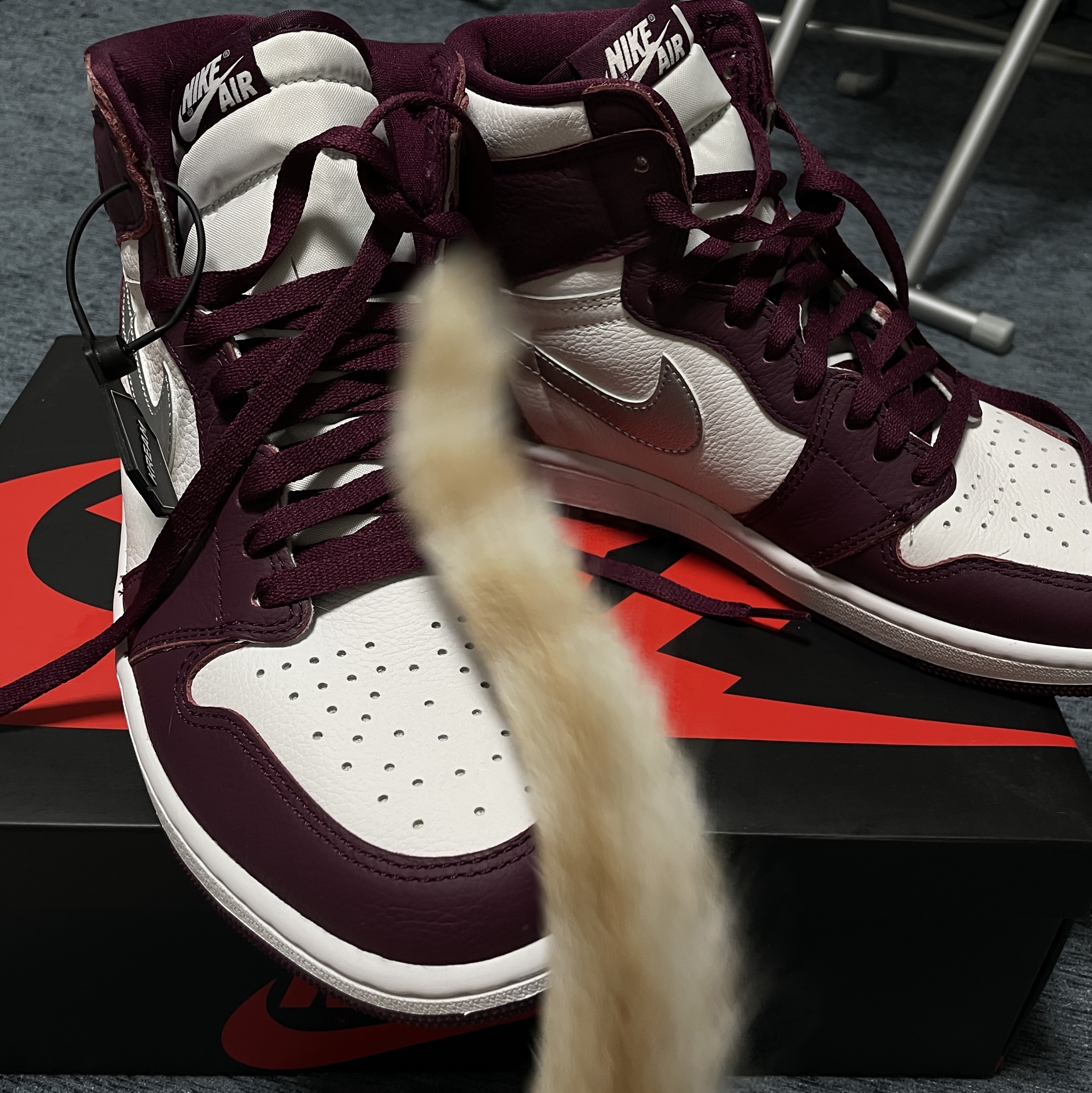 Jordan 1 Retro High OG Bordeaux 착용 스타일