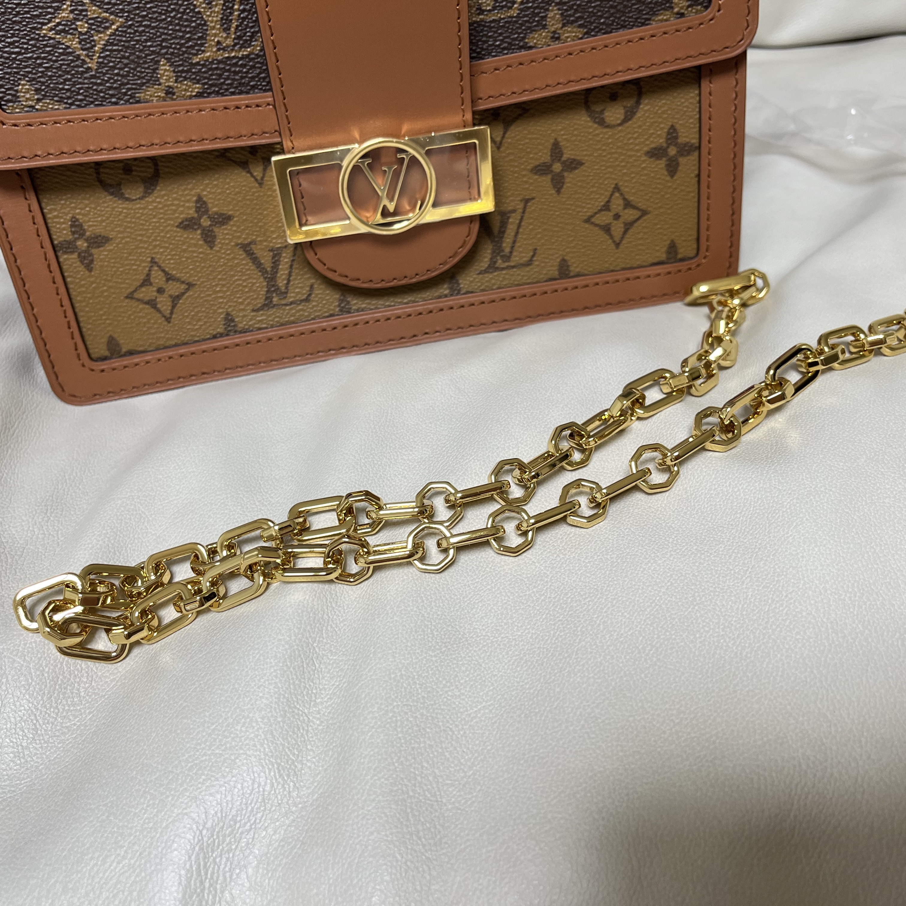 Louis Vuitton Dauphine MM Chain Strap Monogram and Monogram Reversed 착용 스타일 - 3