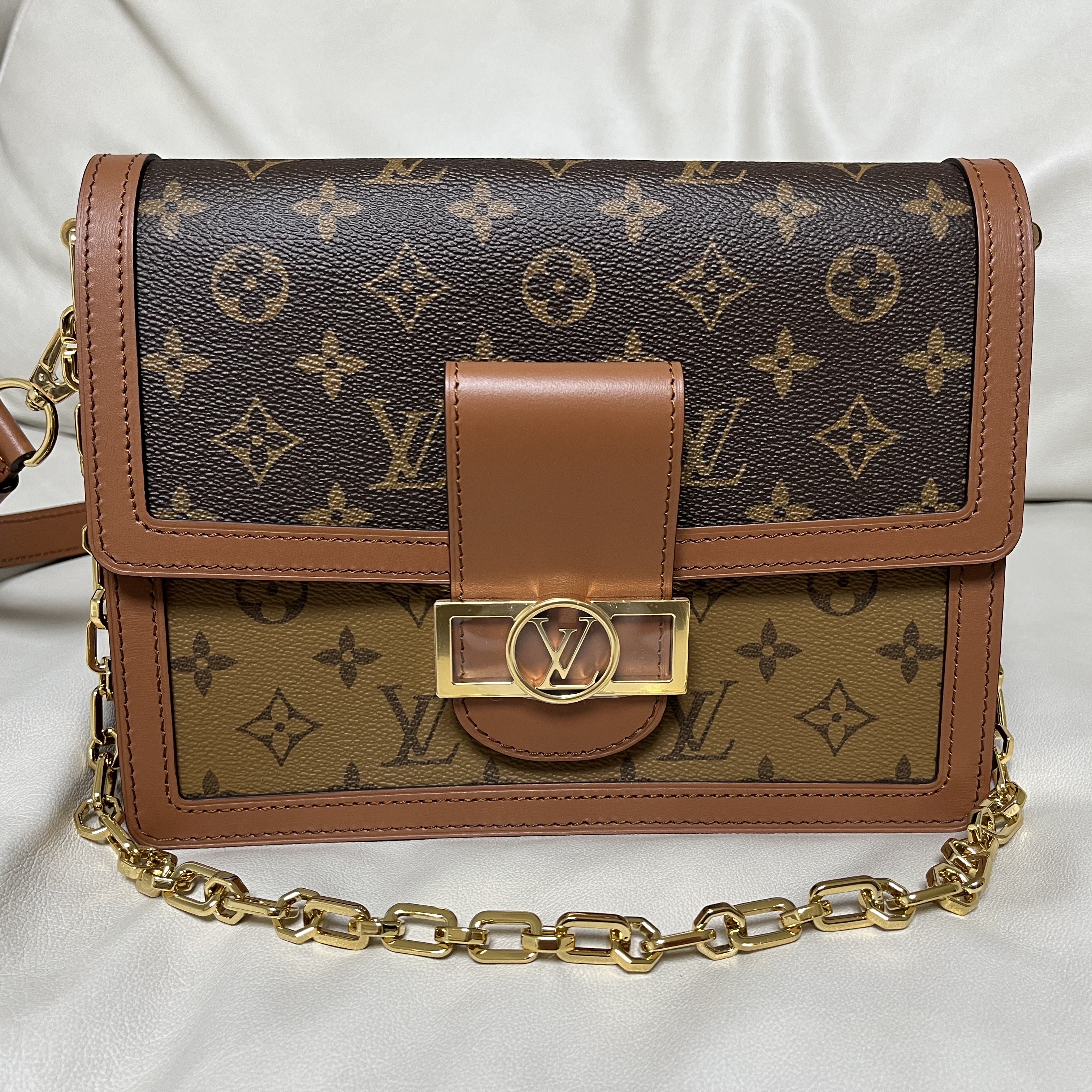 Louis Vuitton Dauphine MM Chain Strap Monogram and Monogram Reversed 착용 스타일 - 1