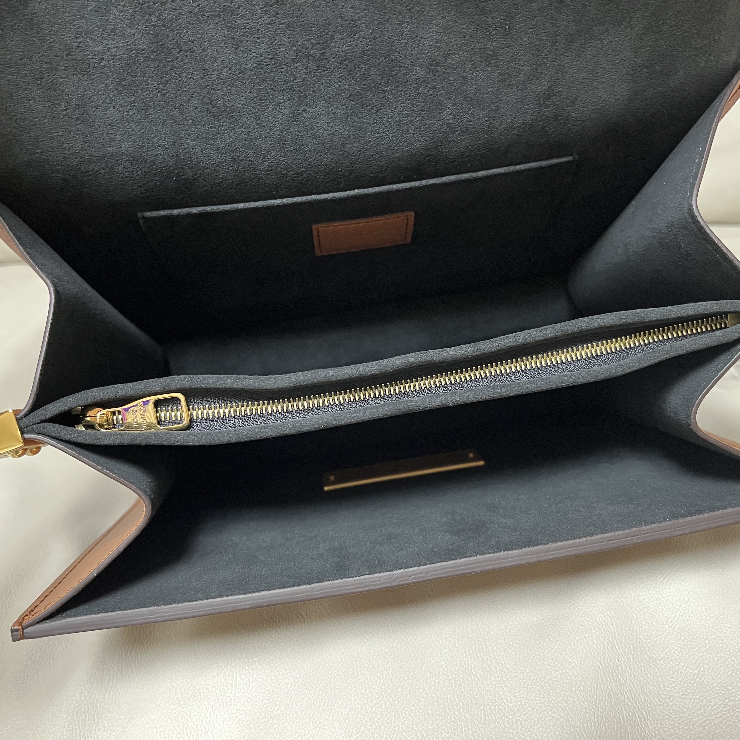 Louis Vuitton Dauphine MM Chain Strap Monogram and Monogram Reversed 착용 스타일 - 5
