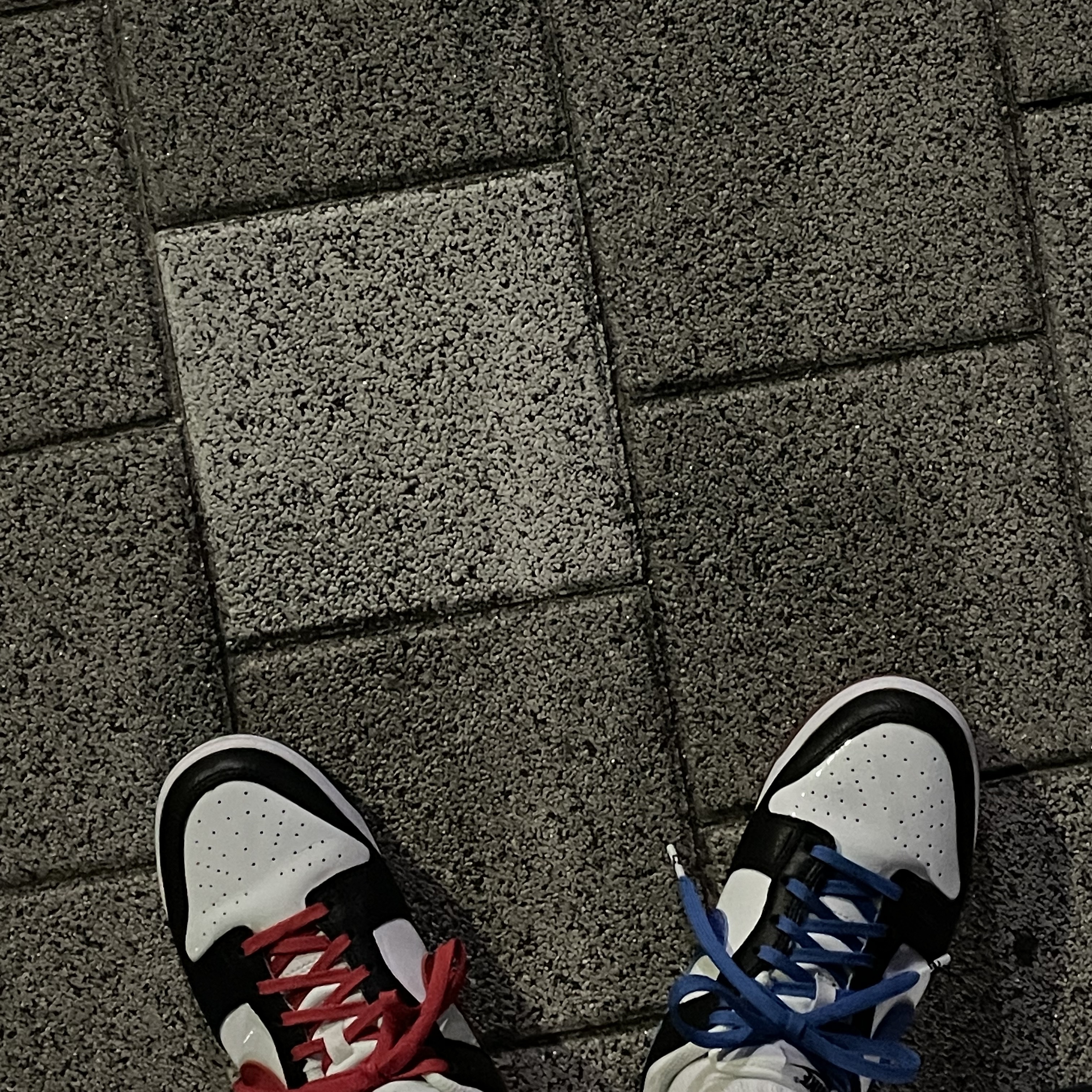 Nike Dunk Low SE Seoul 착용 스타일