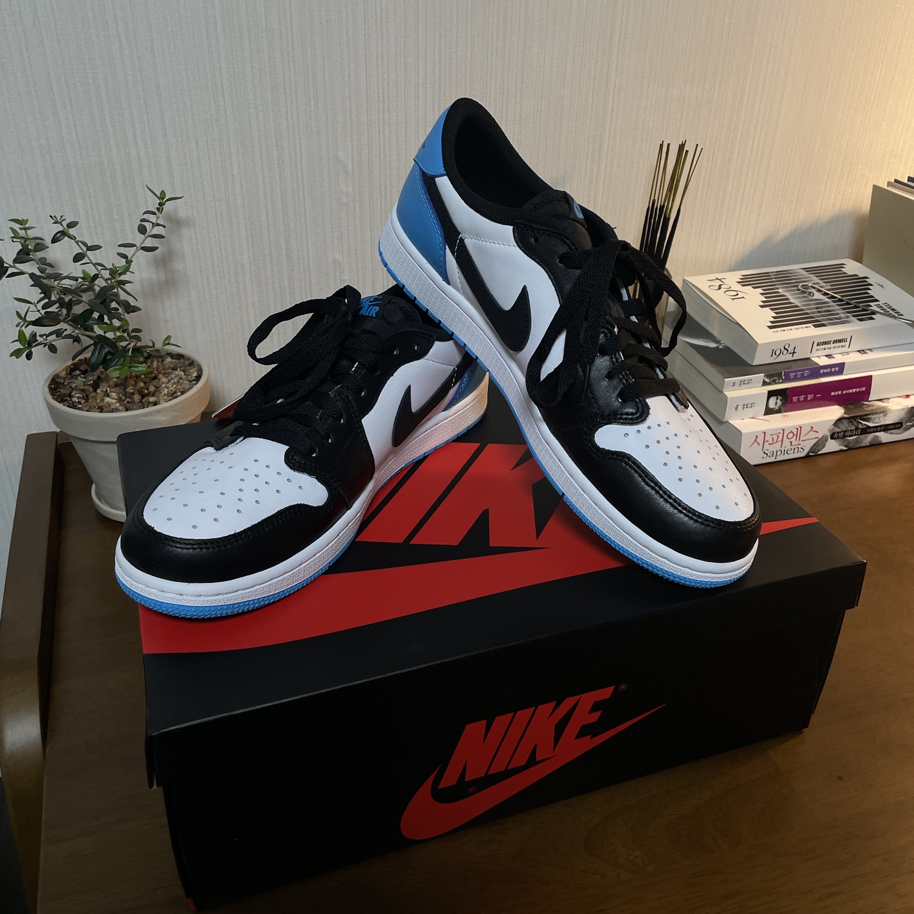 Jordan 1 Retro Low OG Black and Dark Powder Blue 착용 스타일 - 1
