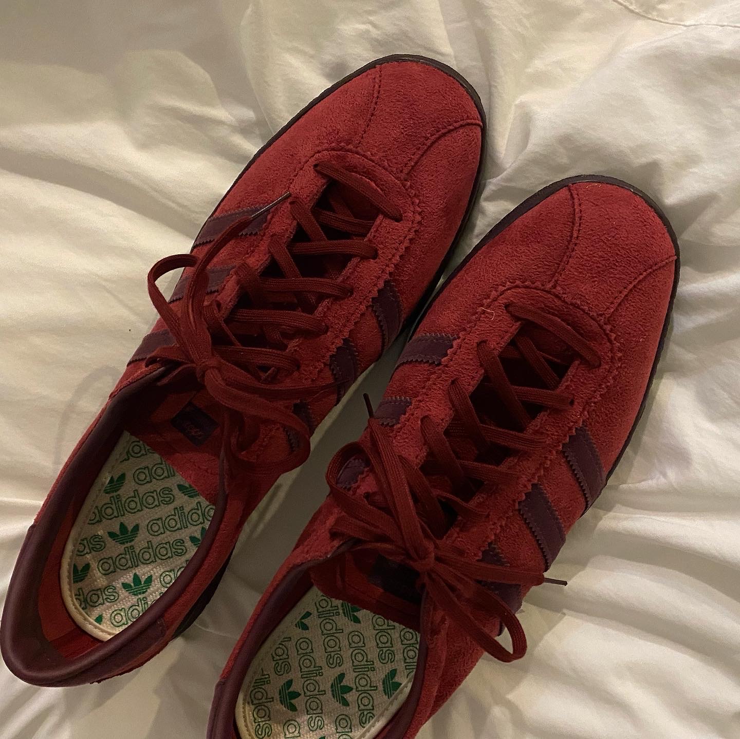 Adidas Tobacco Gruen Collegiate Burgundy 착용 스타일 - 3