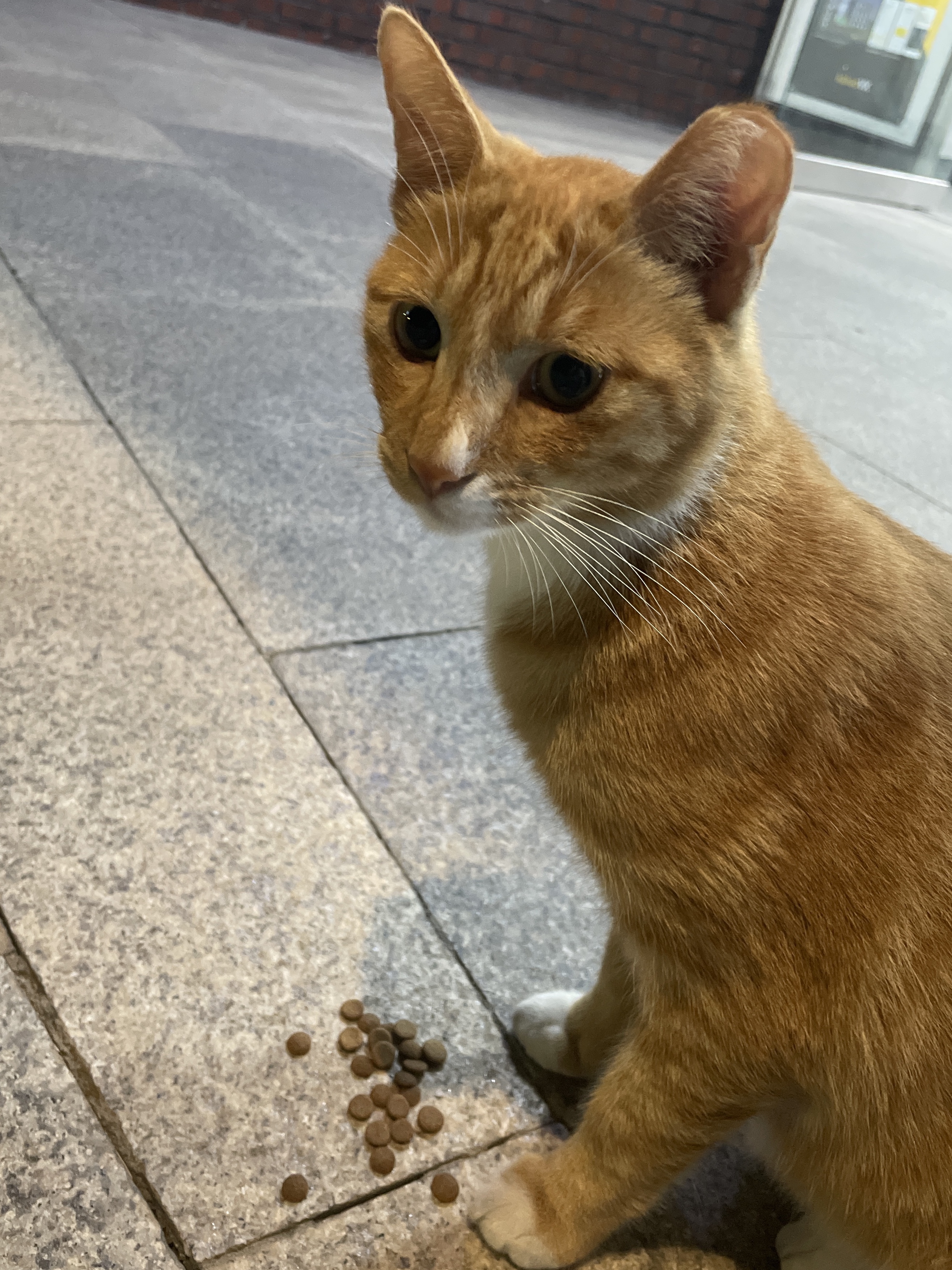 실버컴퍼니님의 스타일
