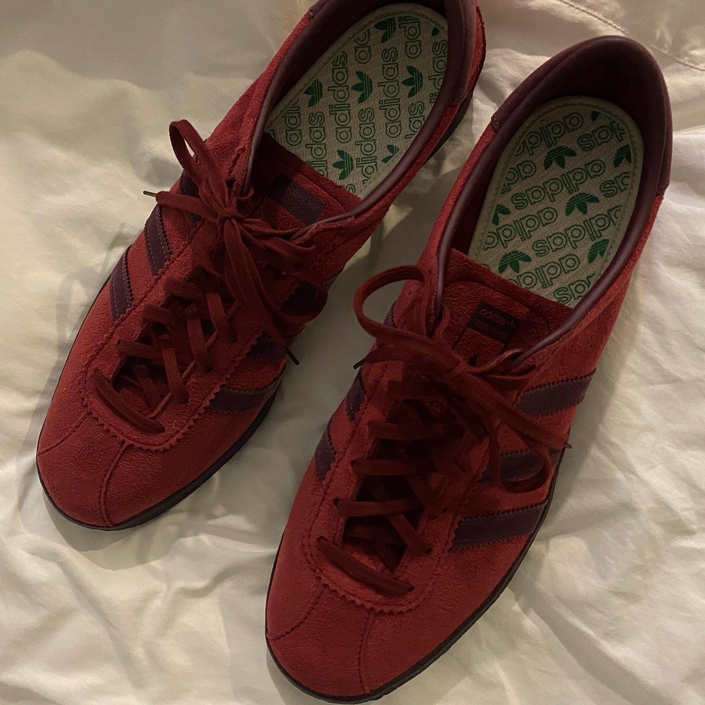 Adidas Tobacco Gruen Collegiate Burgundy 착용 스타일 - 2