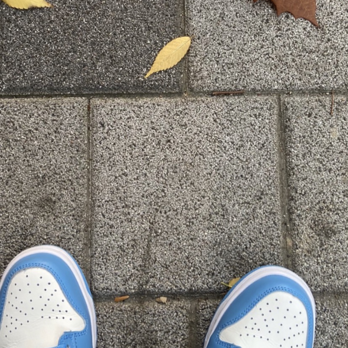 Nike Dunk Low Retro University Blue 착용 스타일