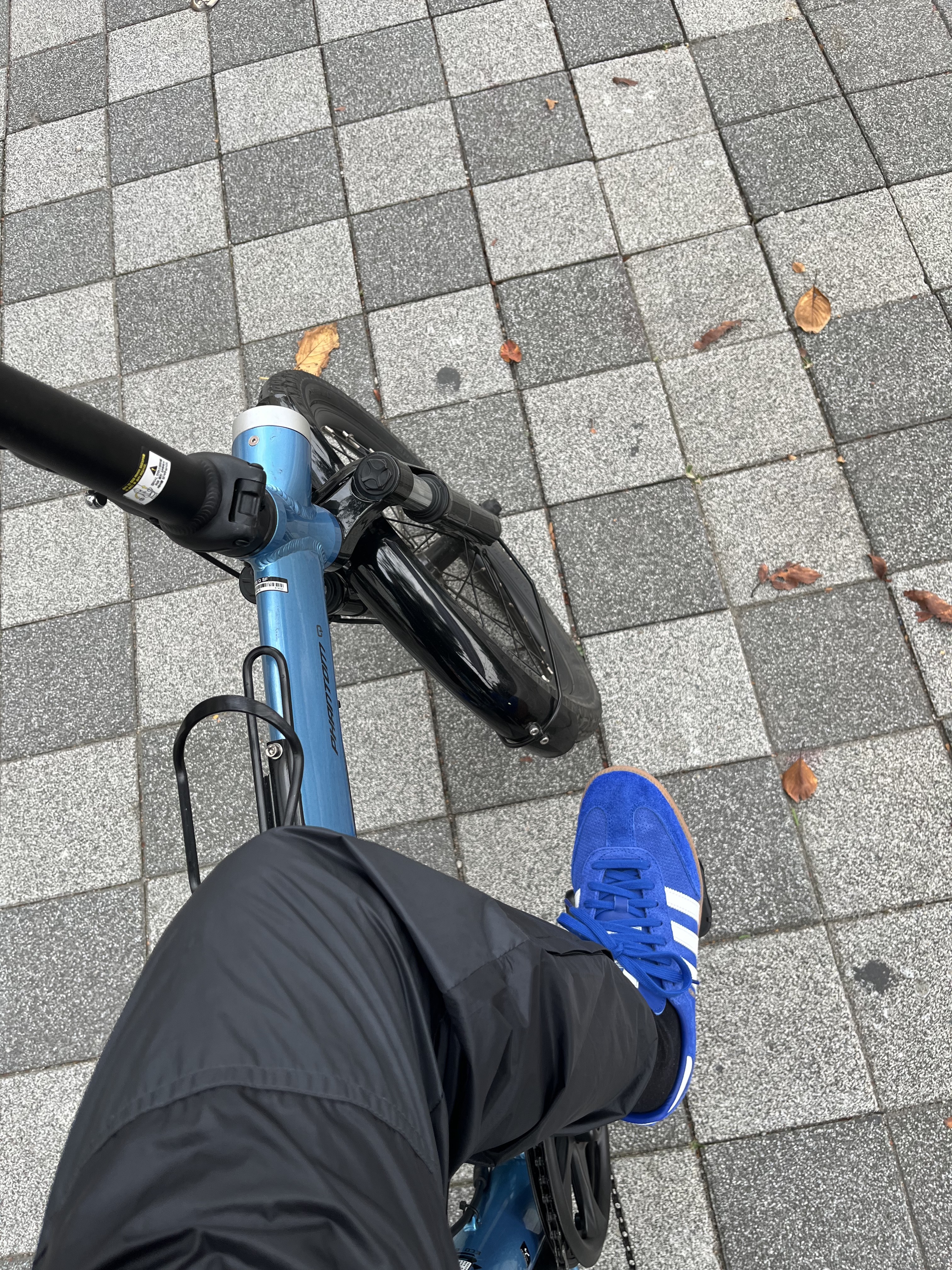 Adidas Samba OG Royal Blue 착용 스타일