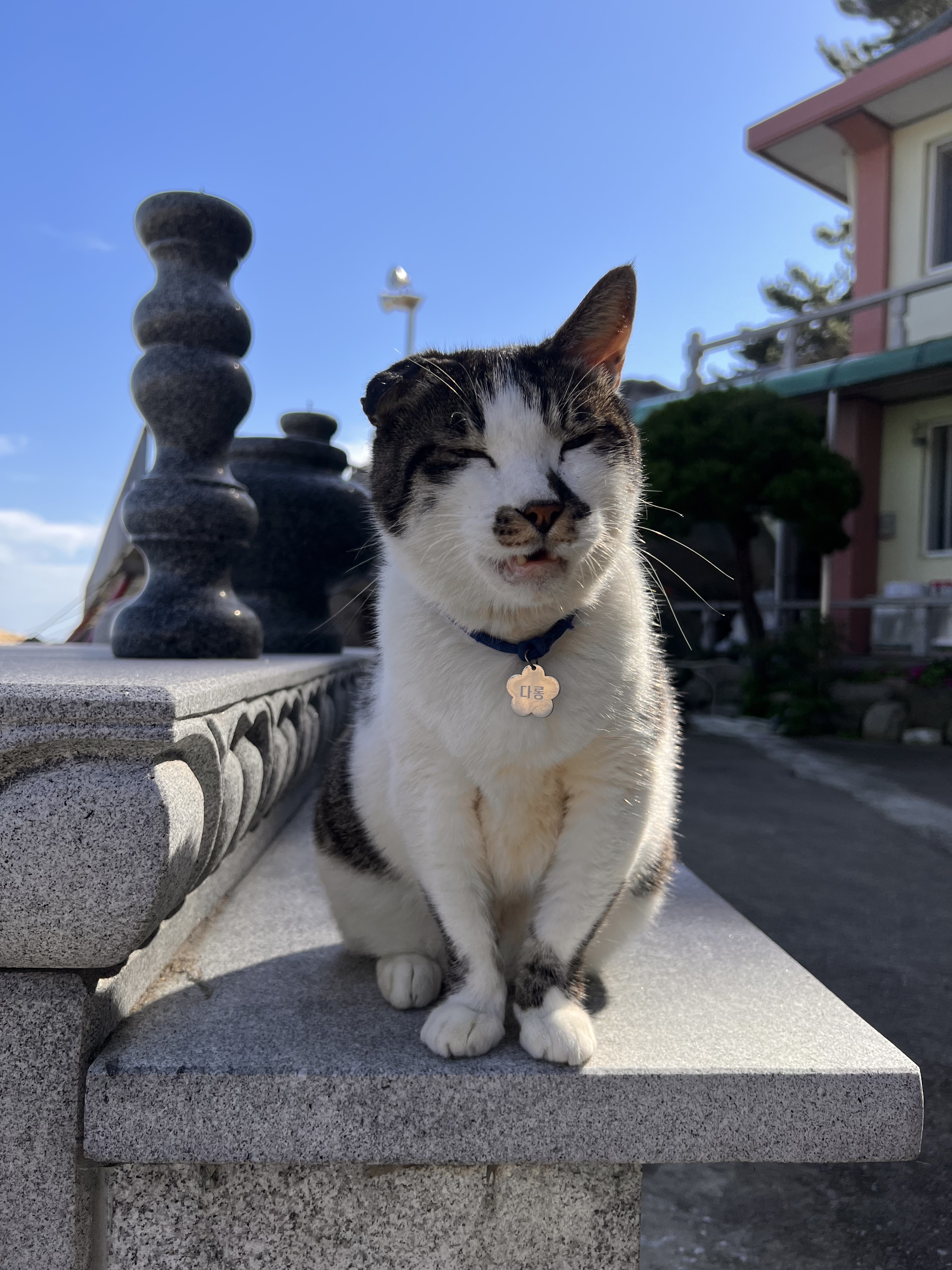 Human Made Lucky Cat Hariko Figure White 착용 스타일 - 3