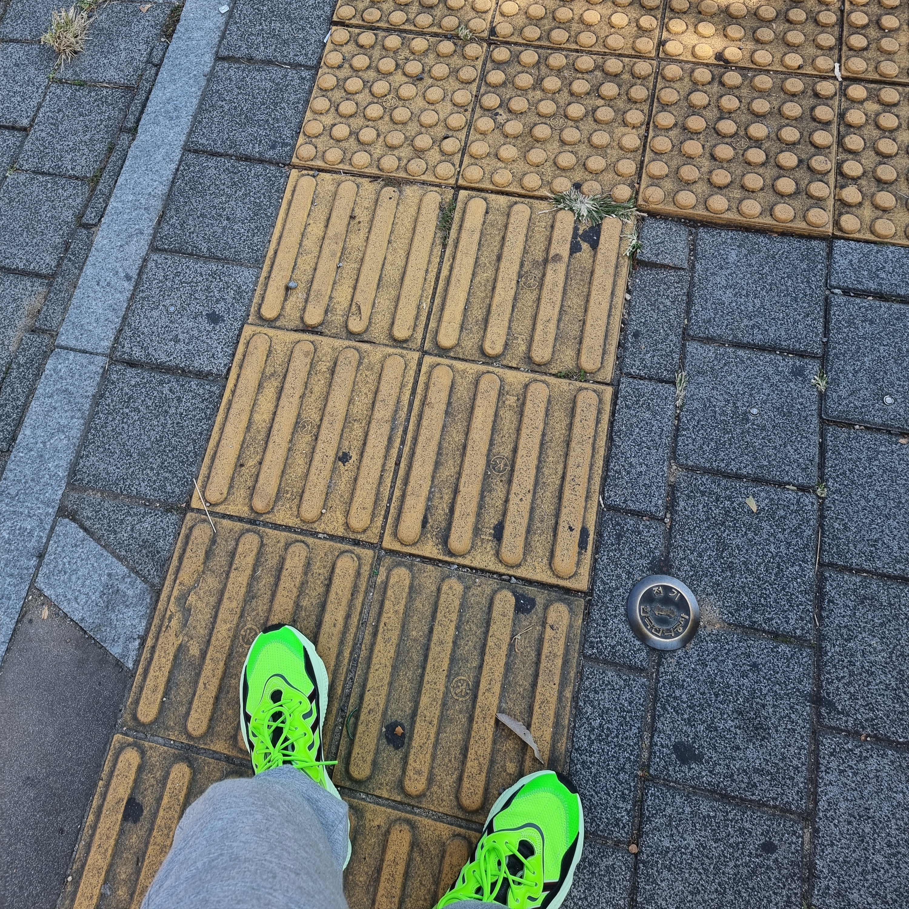 Adidas Ozweego Neon Green 착용 스타일 - 2