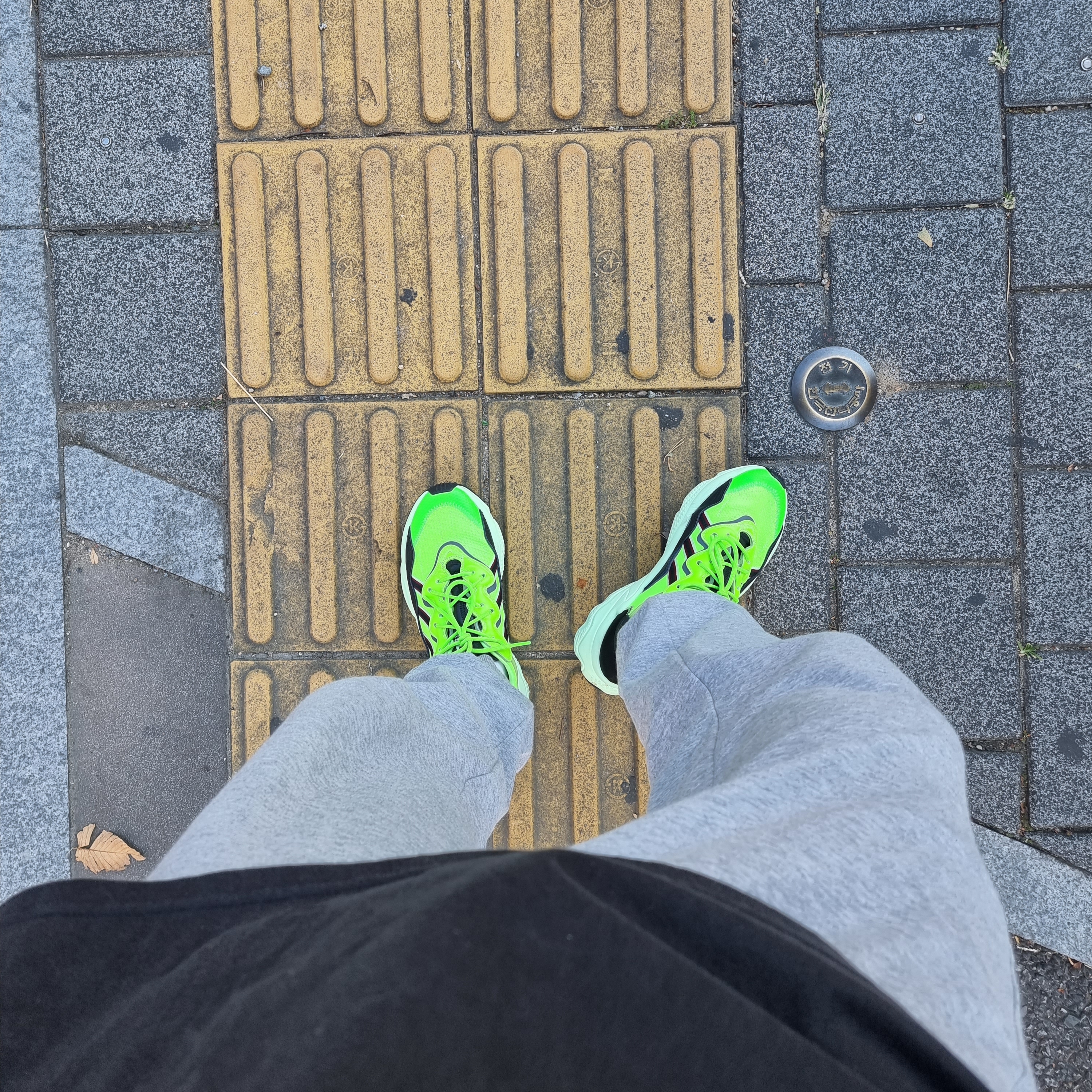 Adidas Ozweego Neon Green 착용 스타일 - 1
