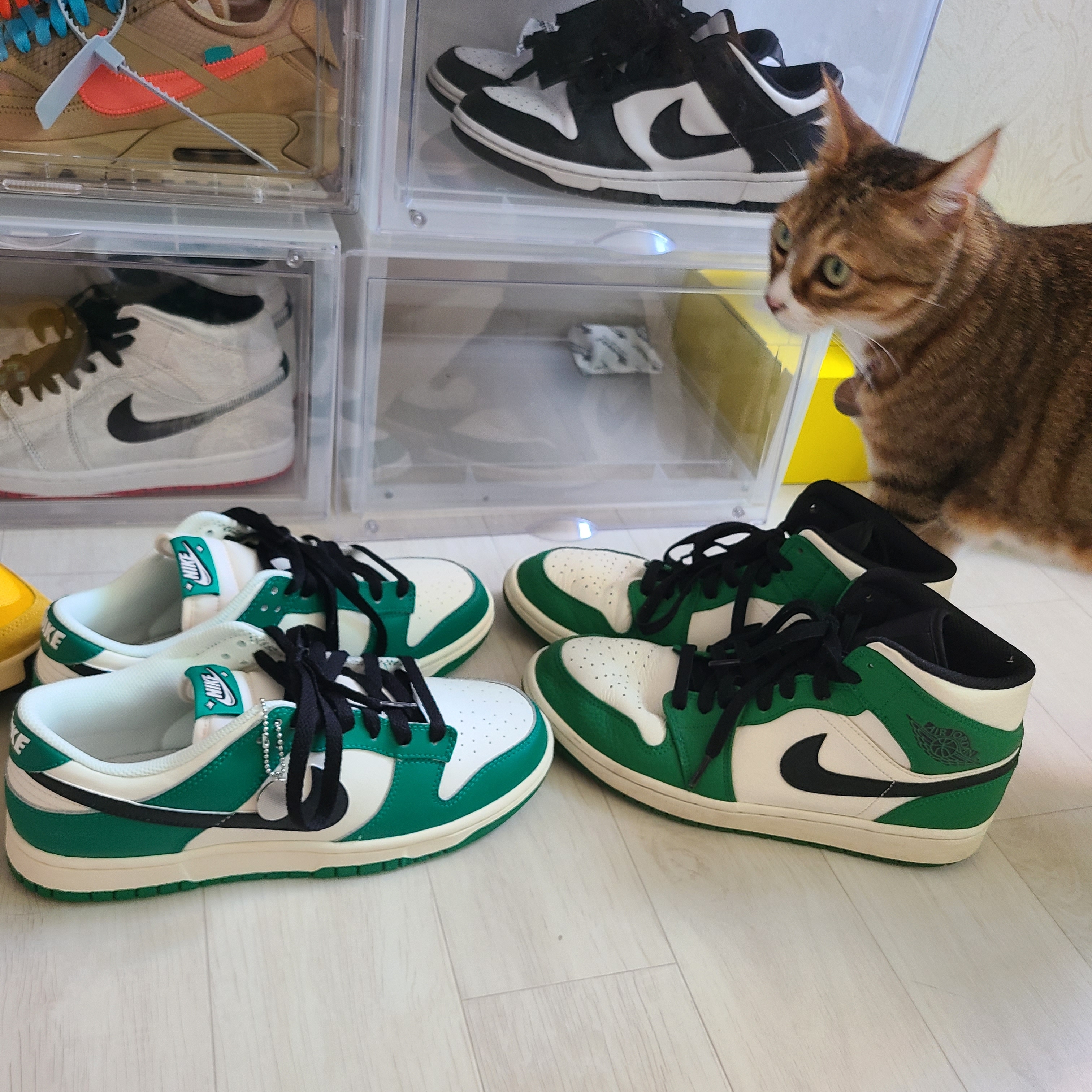 Nike Dunk Low Retro SE Jackpot Malachite, Jordan 1 Mid Pine Green 착용 스타일 - 1