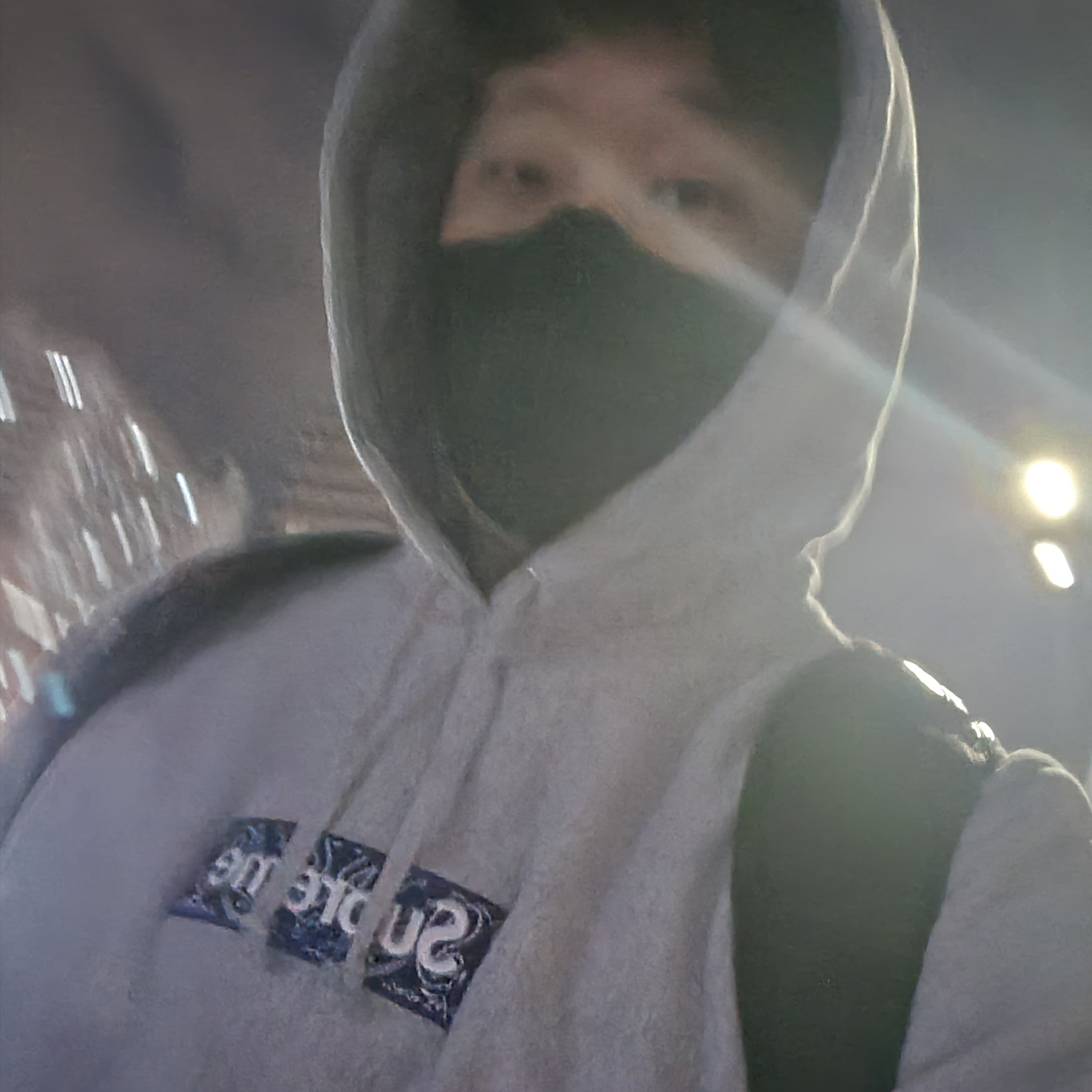 Supreme Bandana Box Logo Hooded Sweatshirt Heather Grey - 19FW 착용 스타일