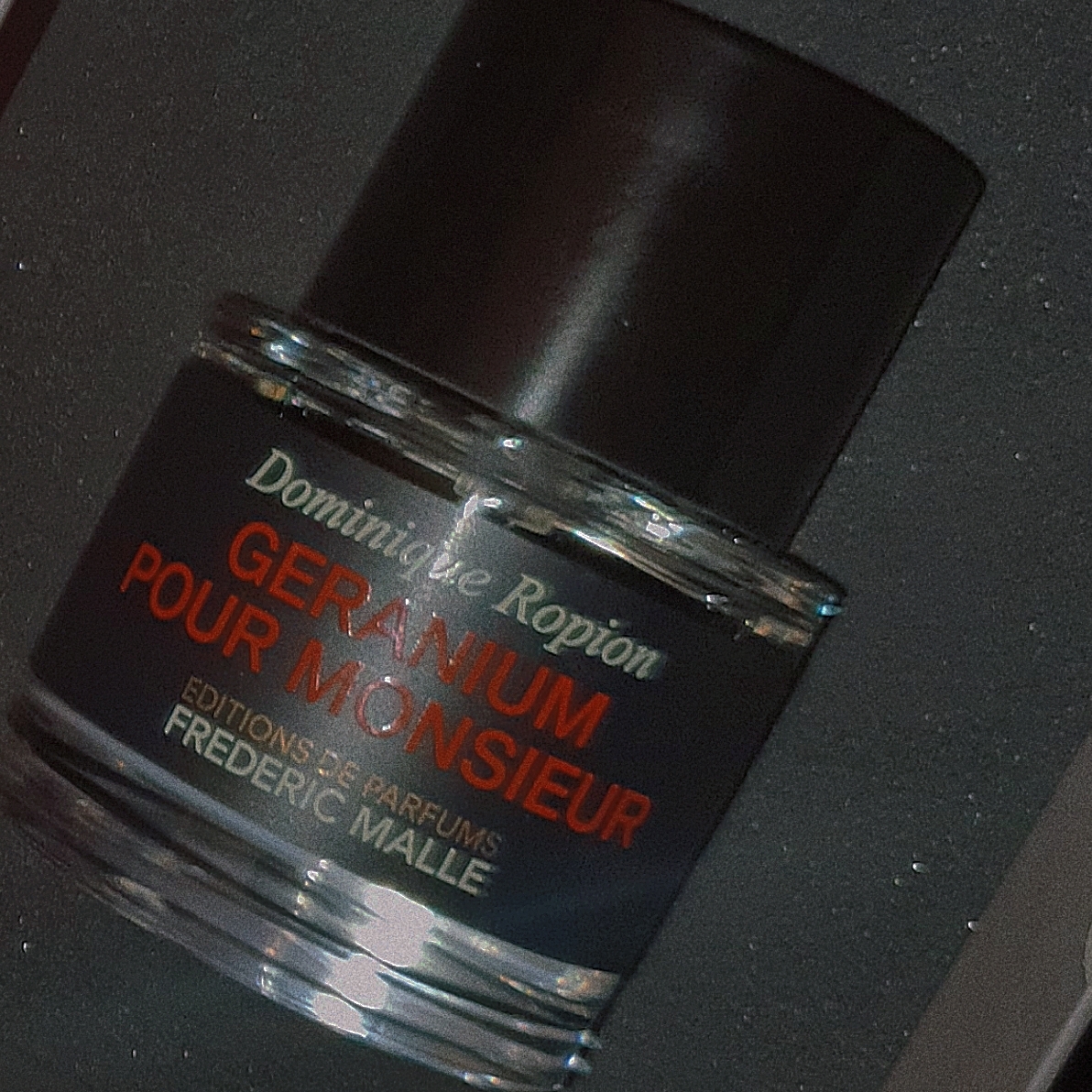Frederic Malle Geranium Pour Monsieur 50ml Spray 착용 스타일 - 2