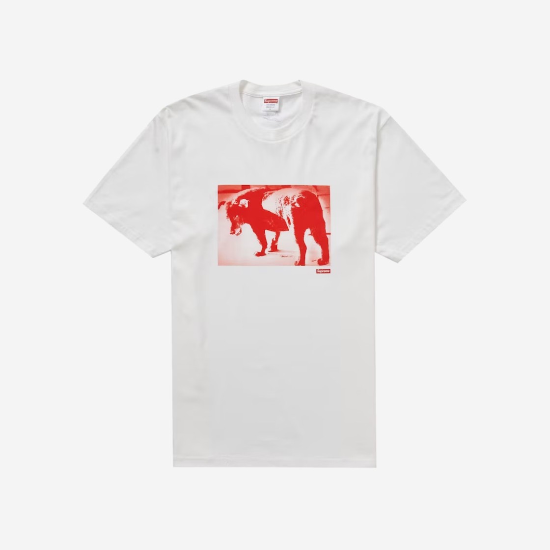 Supreme x Daido Moriyama Dog T-Shirt White - 22SS 상세 이미지 1