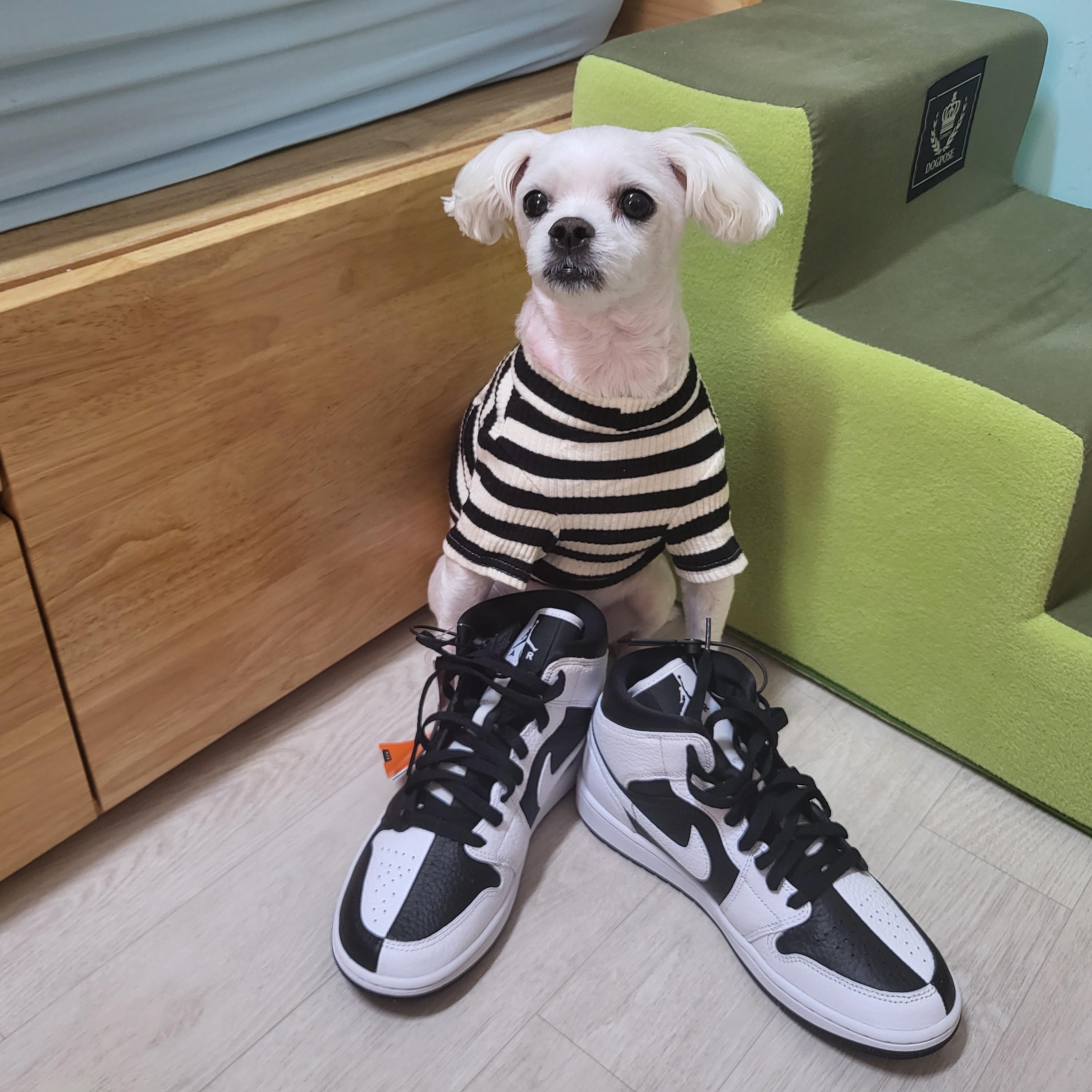 (W) Jordan 1 Mid SE Black White 착용 스타일