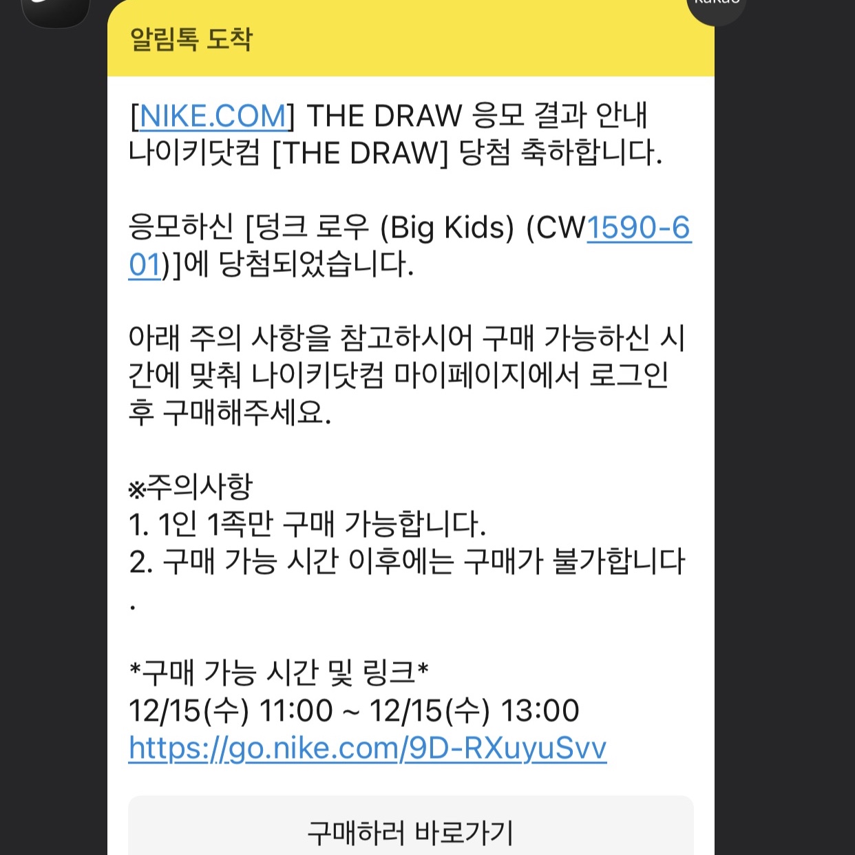 (W) Nike Dunk Low Black, Nike Dunk Low Retro Black 착용 스타일 - 4