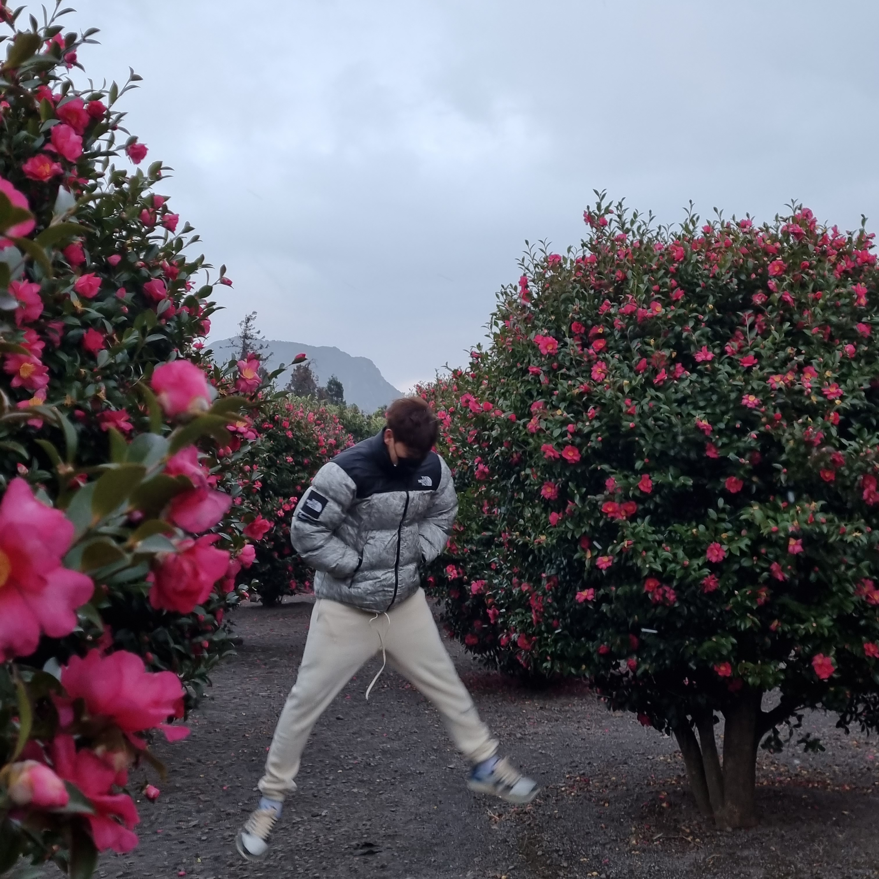 Supreme x The North Face Paper Print Nuptse Jacket - 19FW, Jordan 1 x Travis Scott x Fragment Retro Low OG SP Military Blue 착용 스타일
