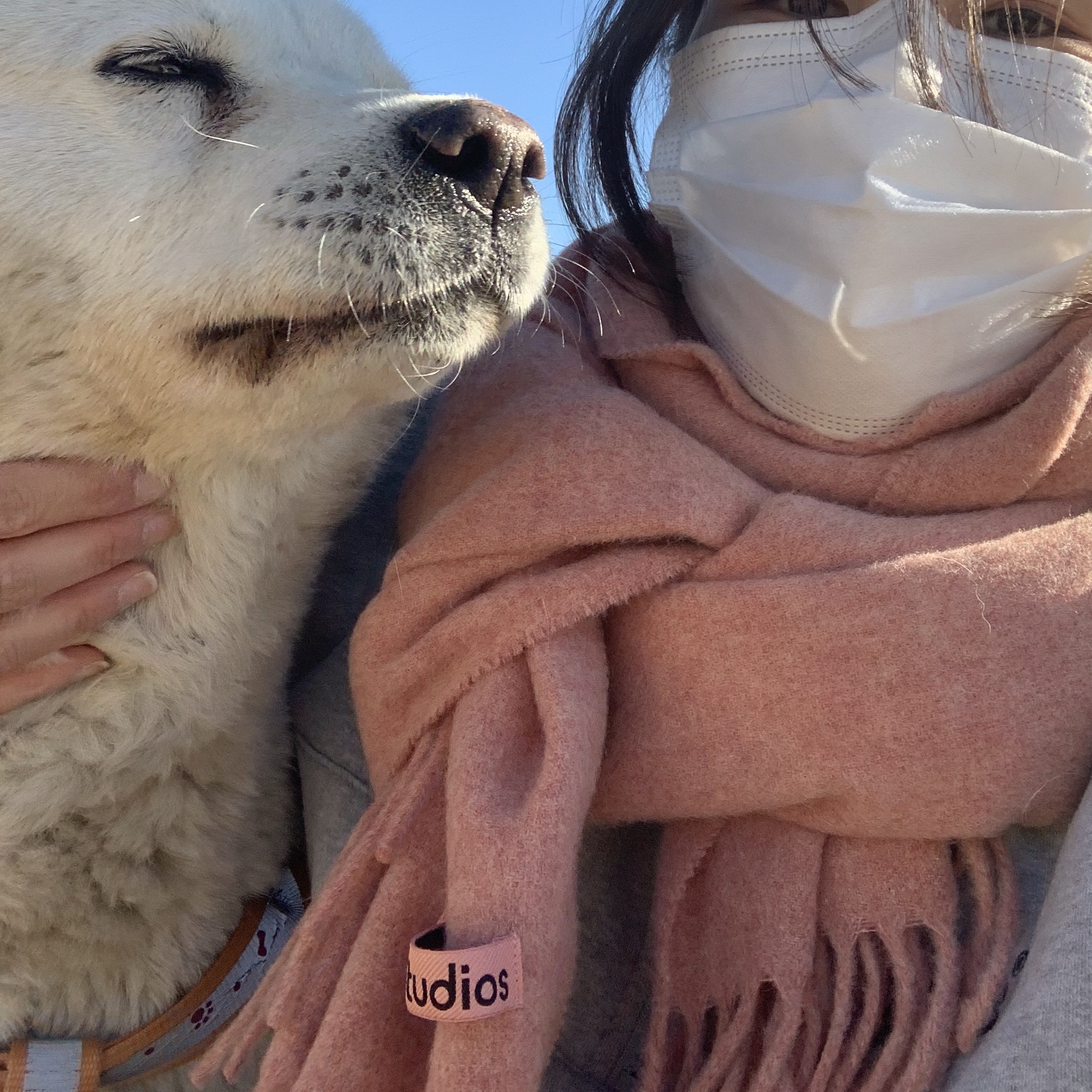 Acne Studios Canada Narrow New Wool Muffler Rose Melange 착용 스타일