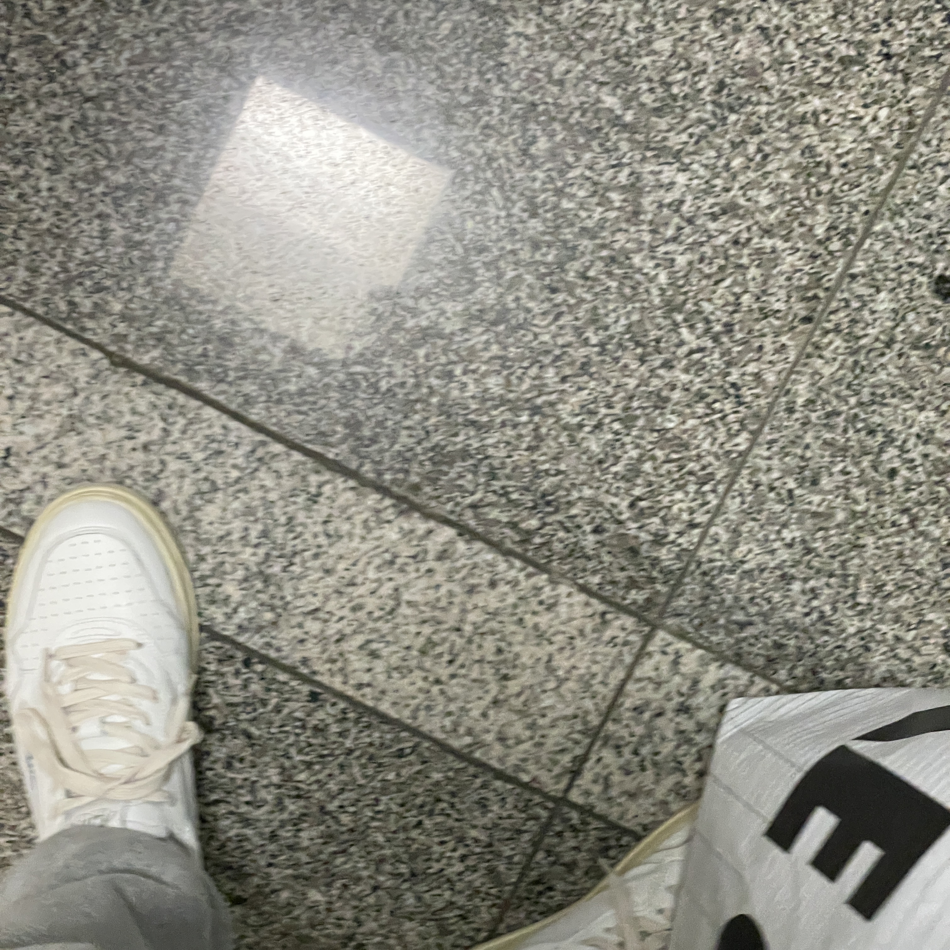 Autry Medalist Low Leather Sneakers White 착용 스타일