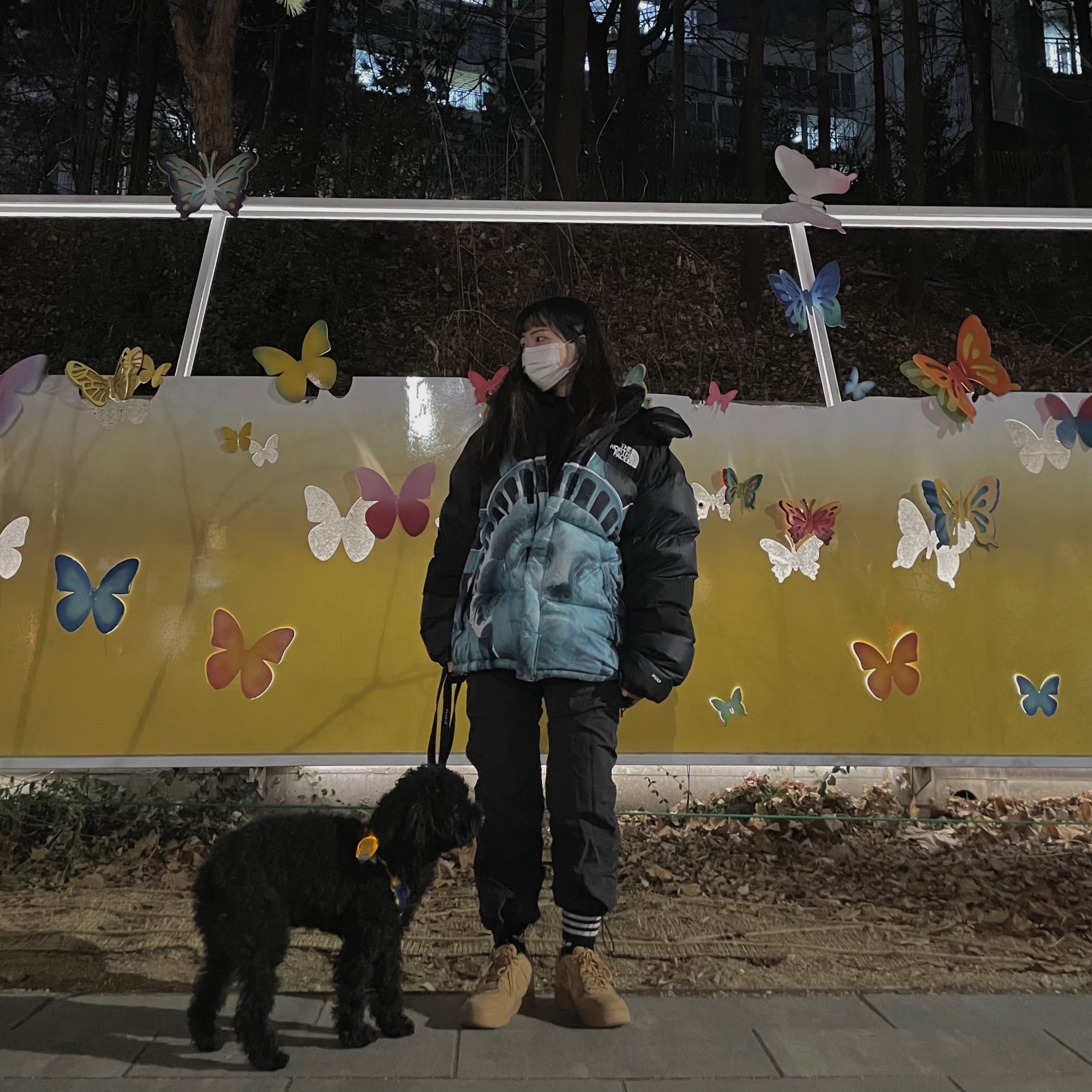 Supreme x The North Face Statue of Liberty Baltoro Jacket Black - 19FW, Nike x Supreme Air Force 1 Low Flax 착용 스타일 - 2