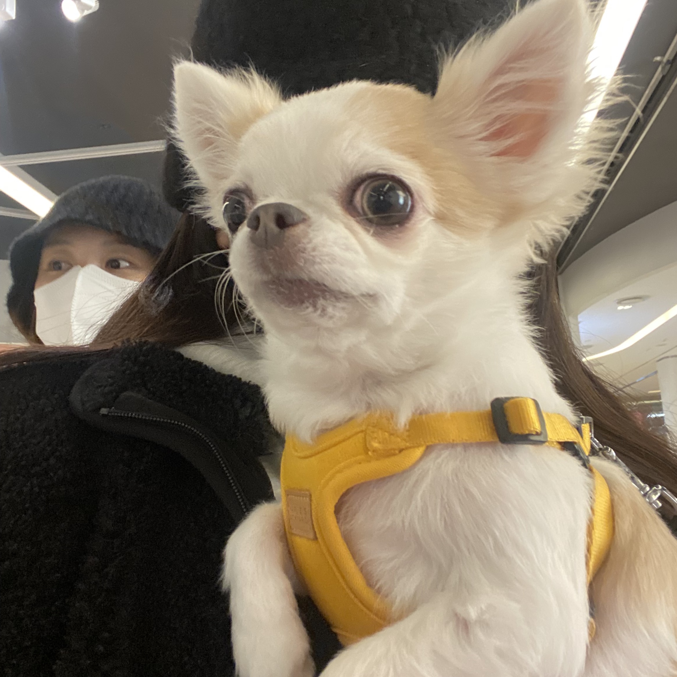 Tjdwjddk10004님의 스타일