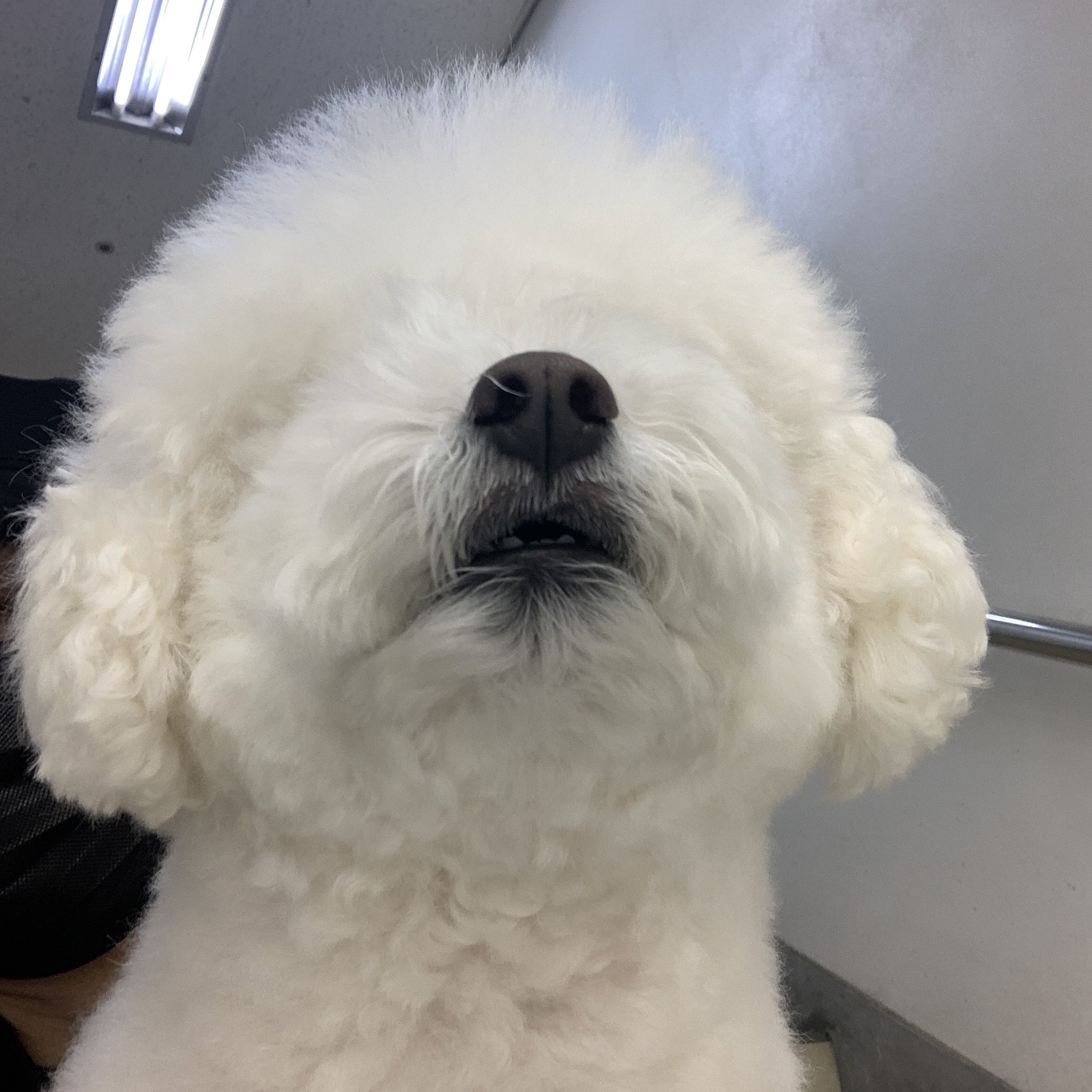 비공개님의 스타일 - 1