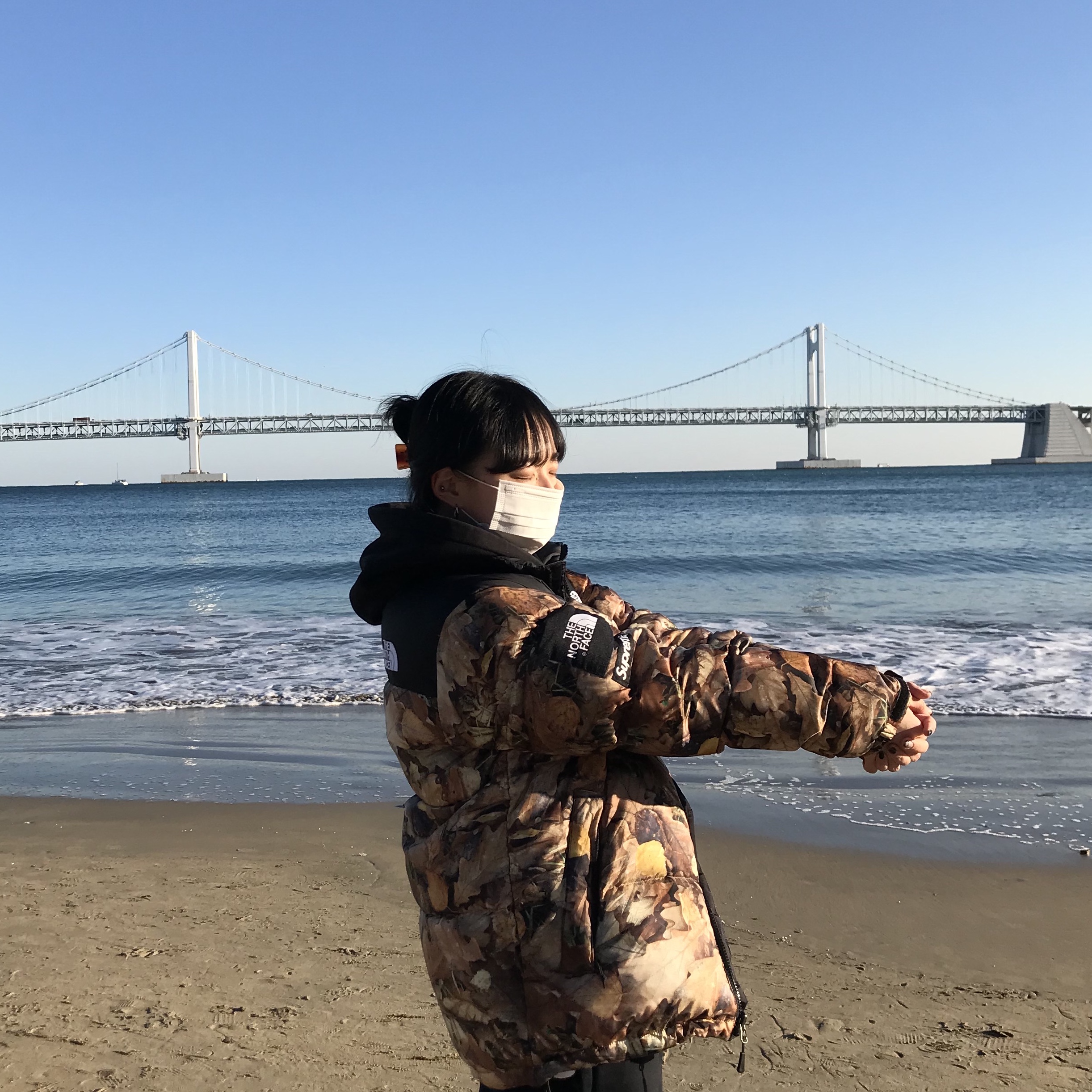 Supreme x The North Face Nuptse Leaves - 16FW 착용 스타일